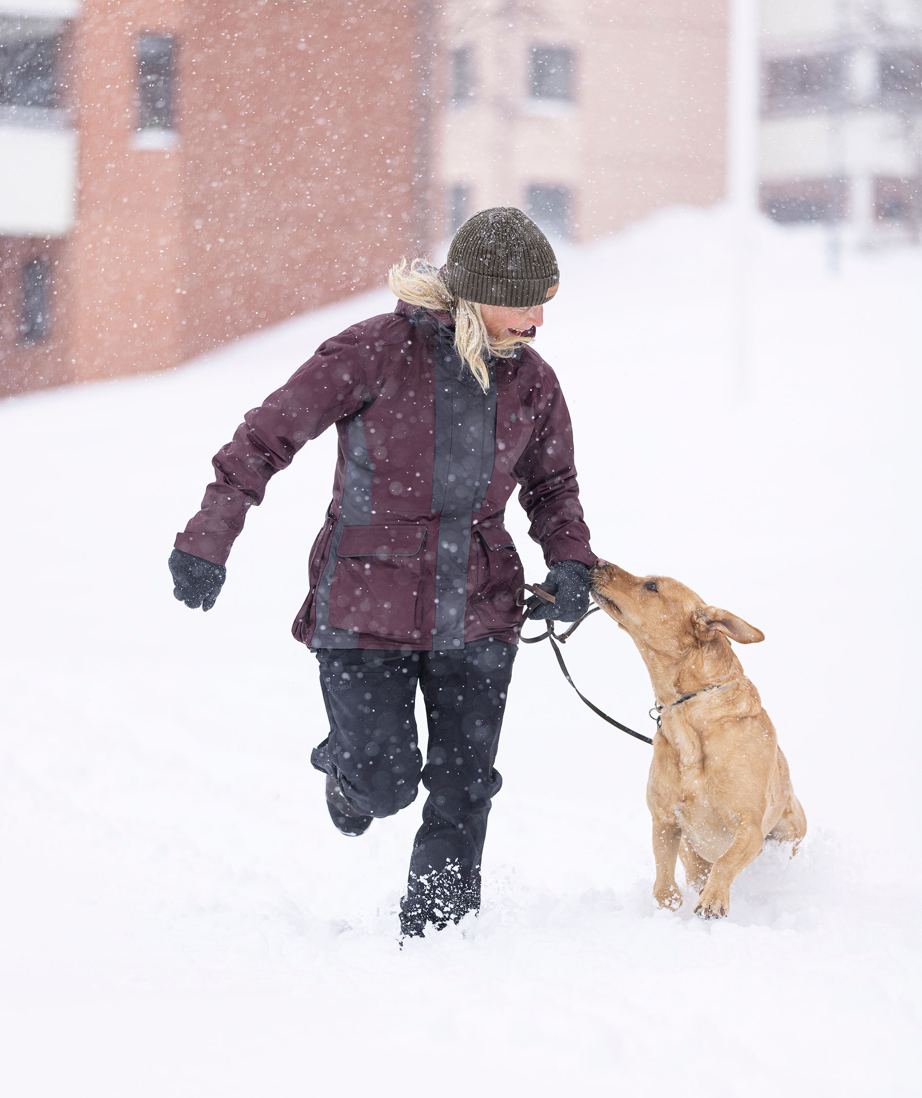 Pinewood&nbsp;Dog Sports 2.0 damejakke, Earth Plum/Dark Anthracite, large image number 1