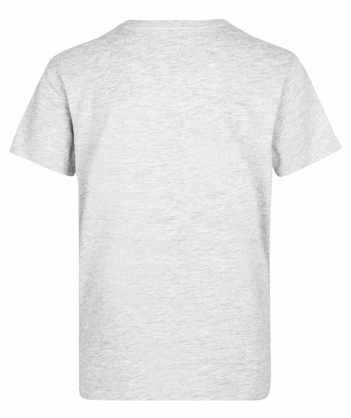 ID ekologisk T-shirt till barn, Ljusgr&aring; fl&auml;ckig, large image number 1