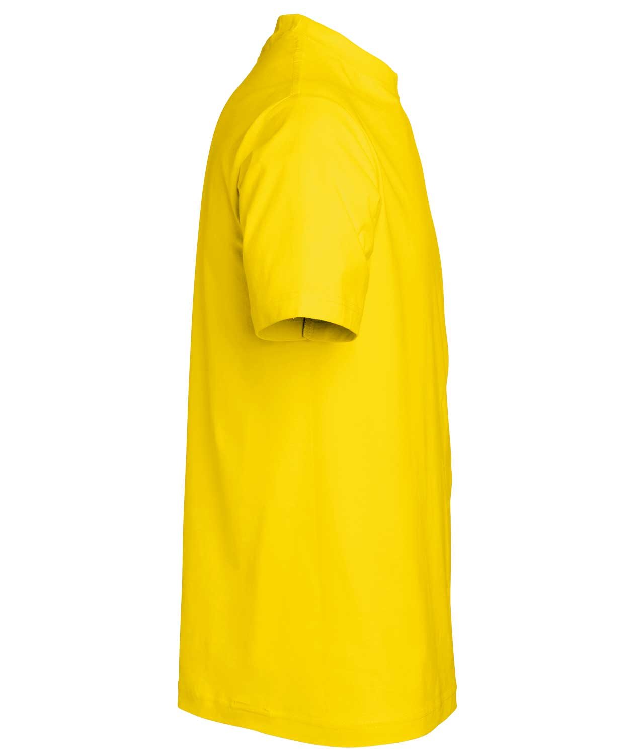 South West Kings ekologisk T-shirt till barn, Blazing Yellow, large image number 1