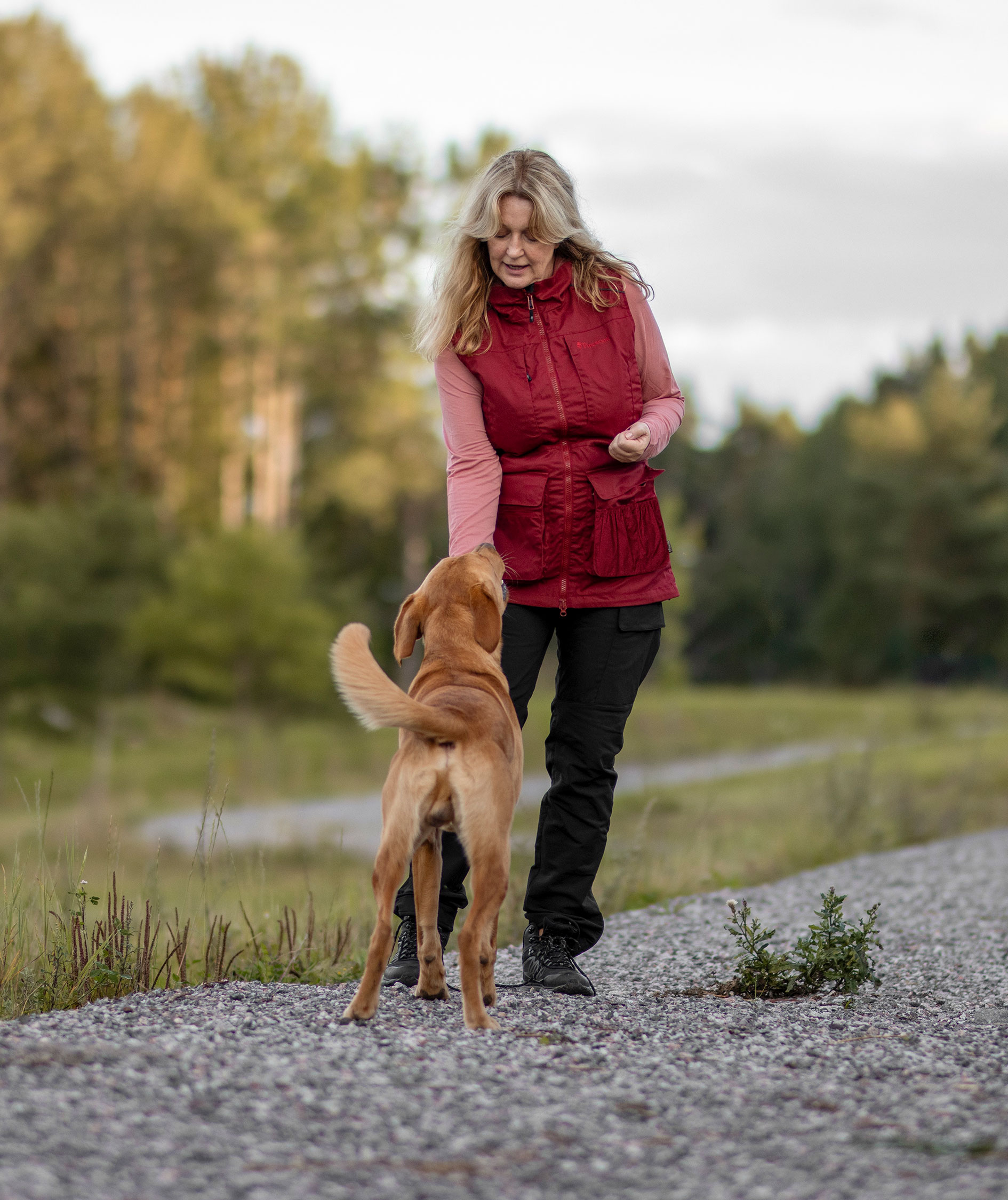 Pinewood Dog Sports Trainer damevest, Dark Tomato/Dark Red