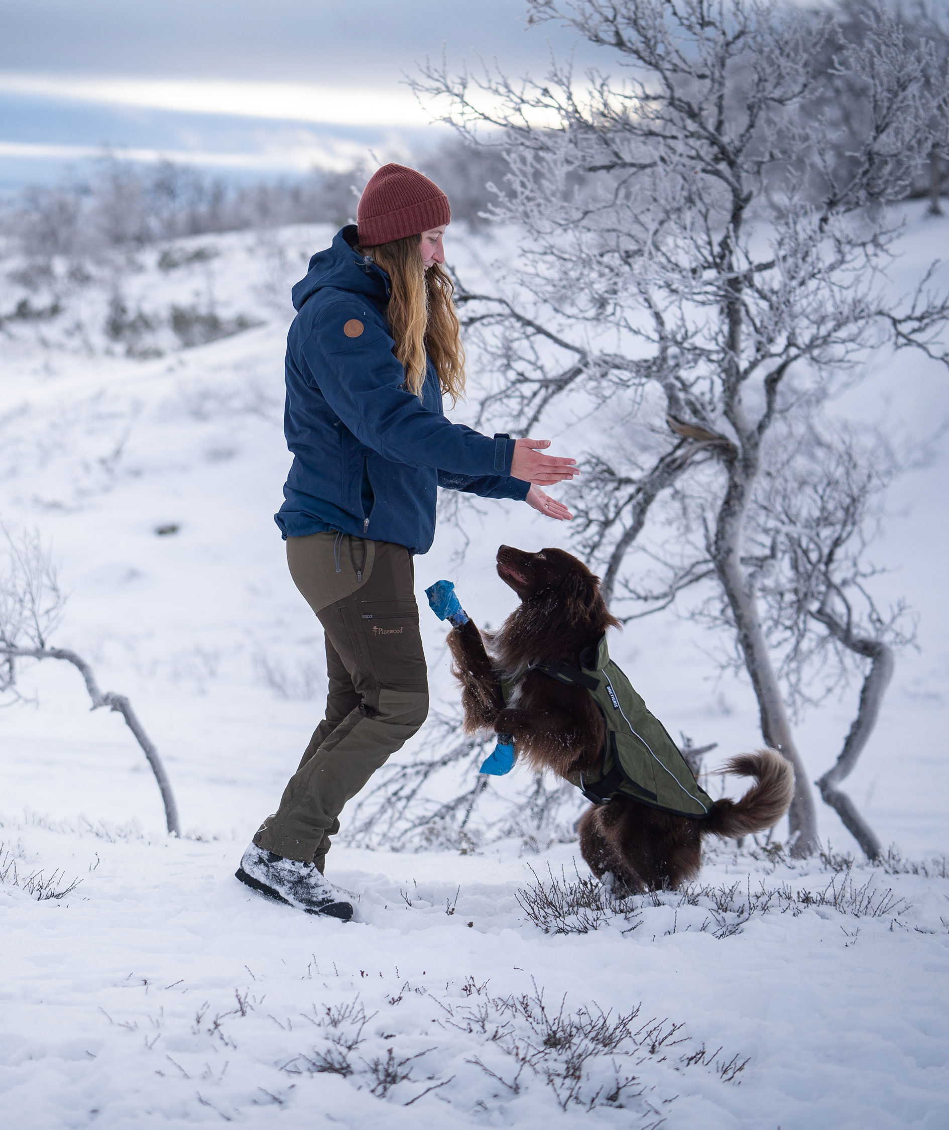 Pinewood&nbsp;Finnveden Hybrid Extreme damebukser, Dark Olive/Hunting Olive, large image number 1