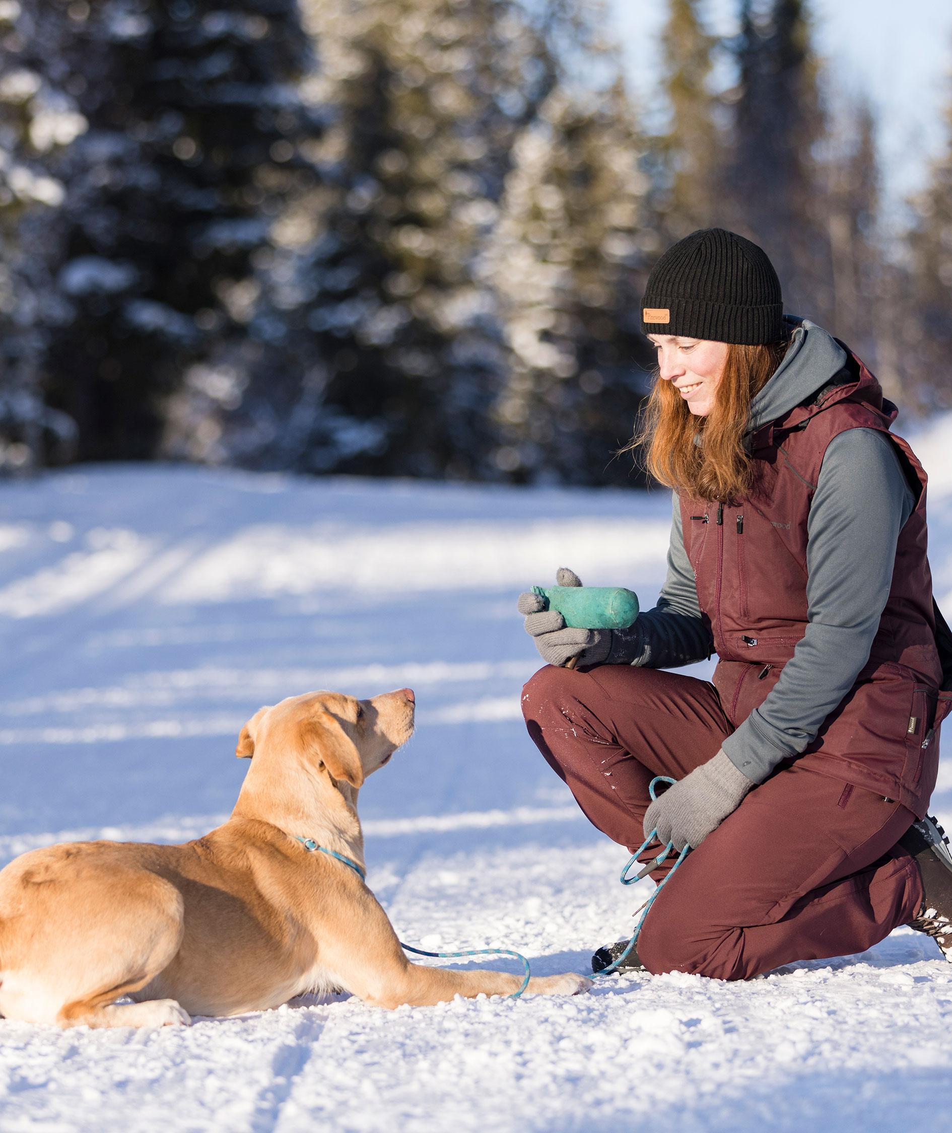 Pinewood Wilda Stretch dame skalbukser, Earth Plum, large image number 3