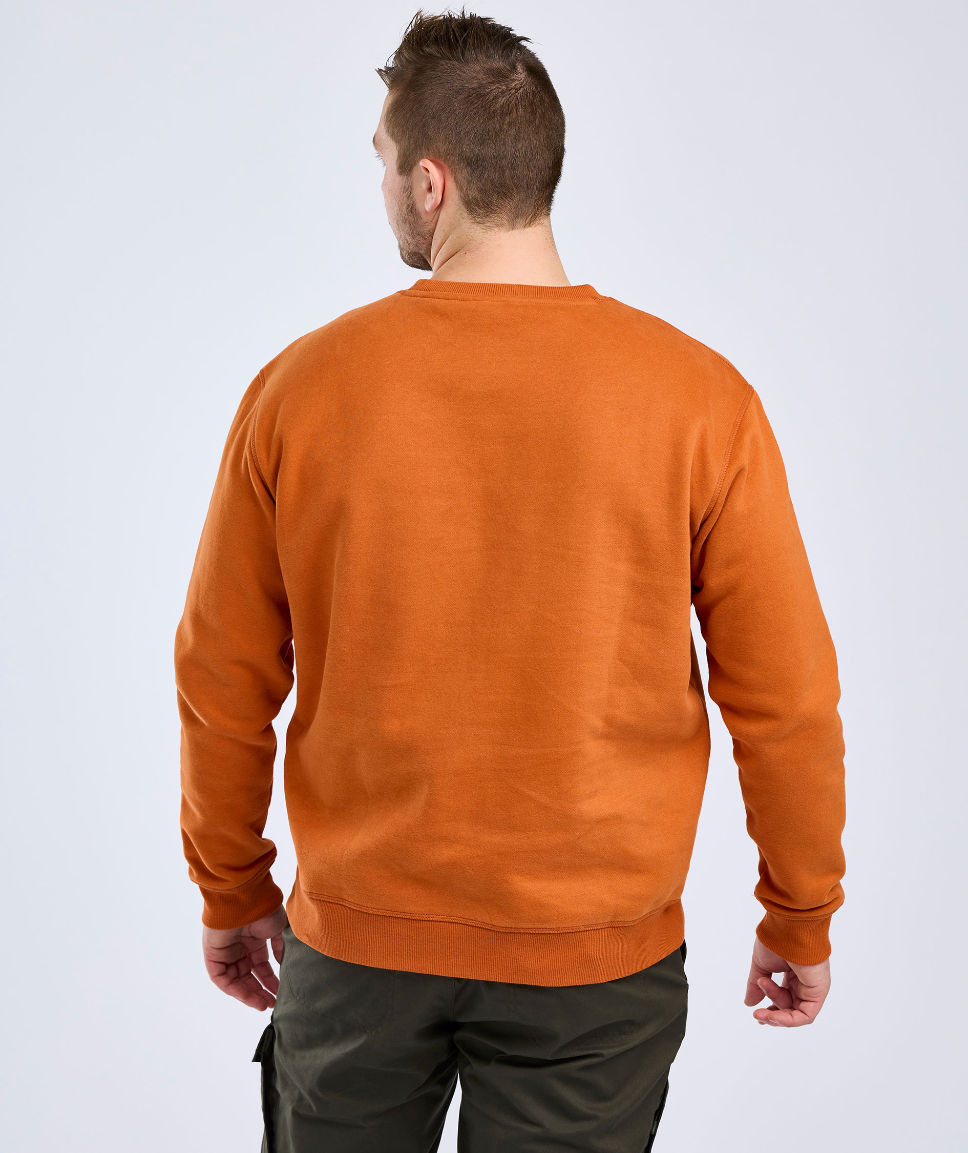 Pinewood V&auml;rnamo Logo sweatshirt, Burned Orange, large image number 3