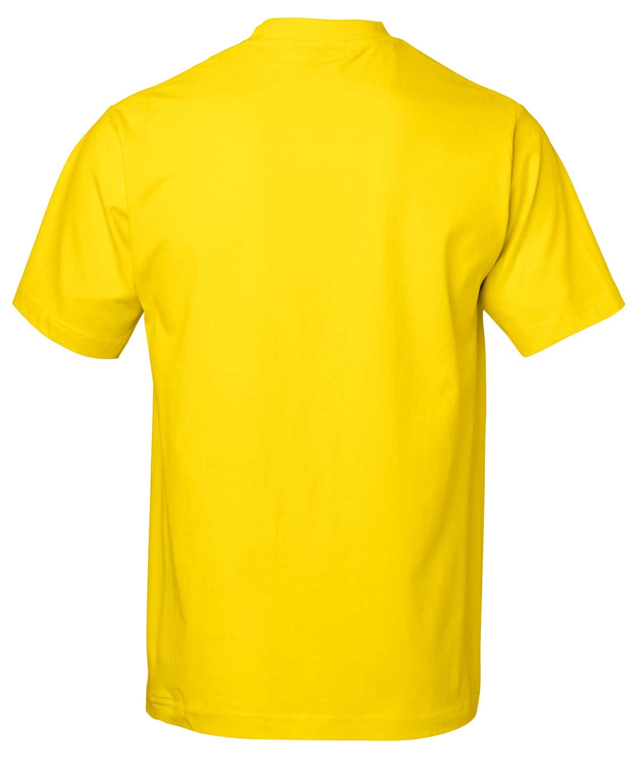 South West Kings Bio  T-Shirt, Blazing Yellow, large image number 2