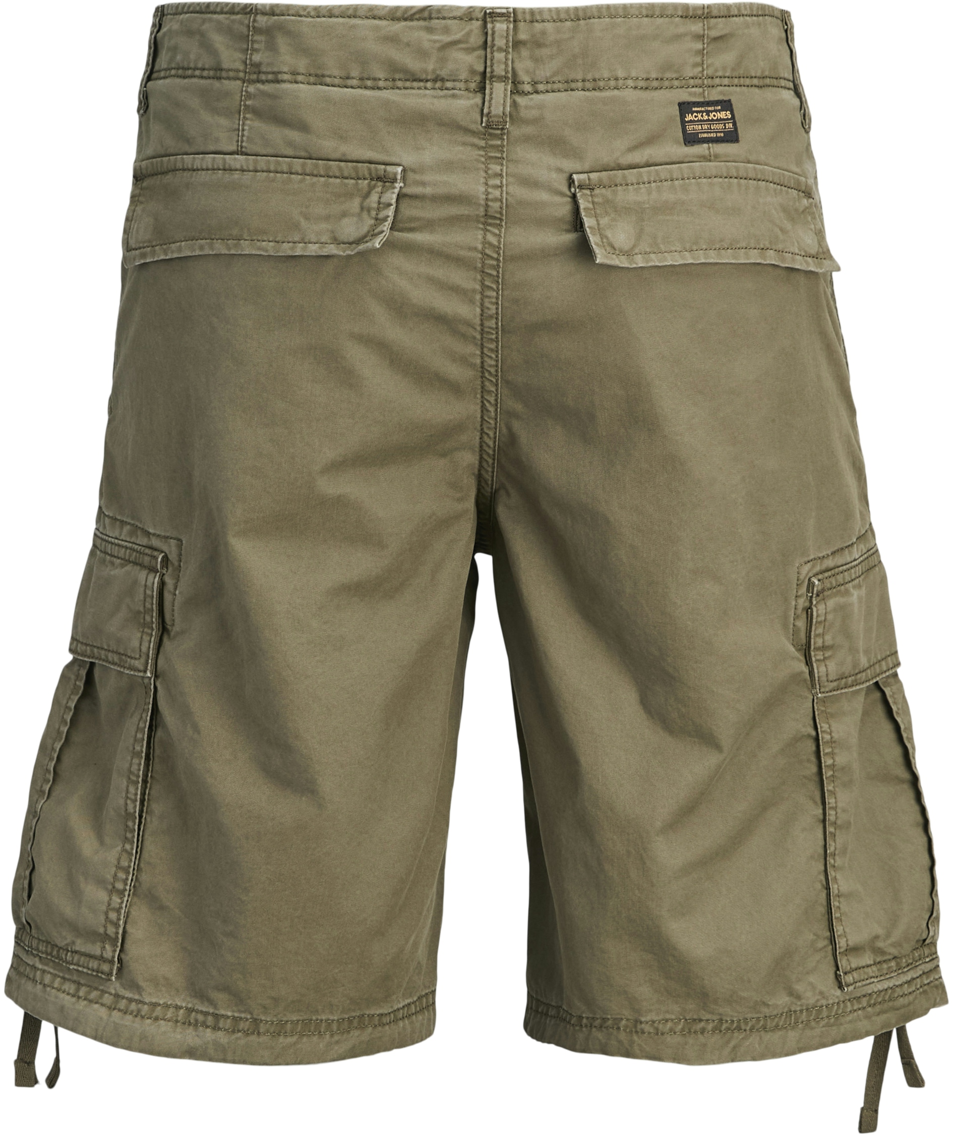 Jack & Jones JPSTCOLE FRANK cargo shorts