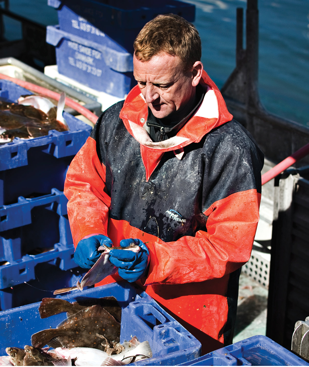 ELKA Fishing Extreme PVC regnanorak, Varsel Orange/Marinbl&aring;, large image number 2
