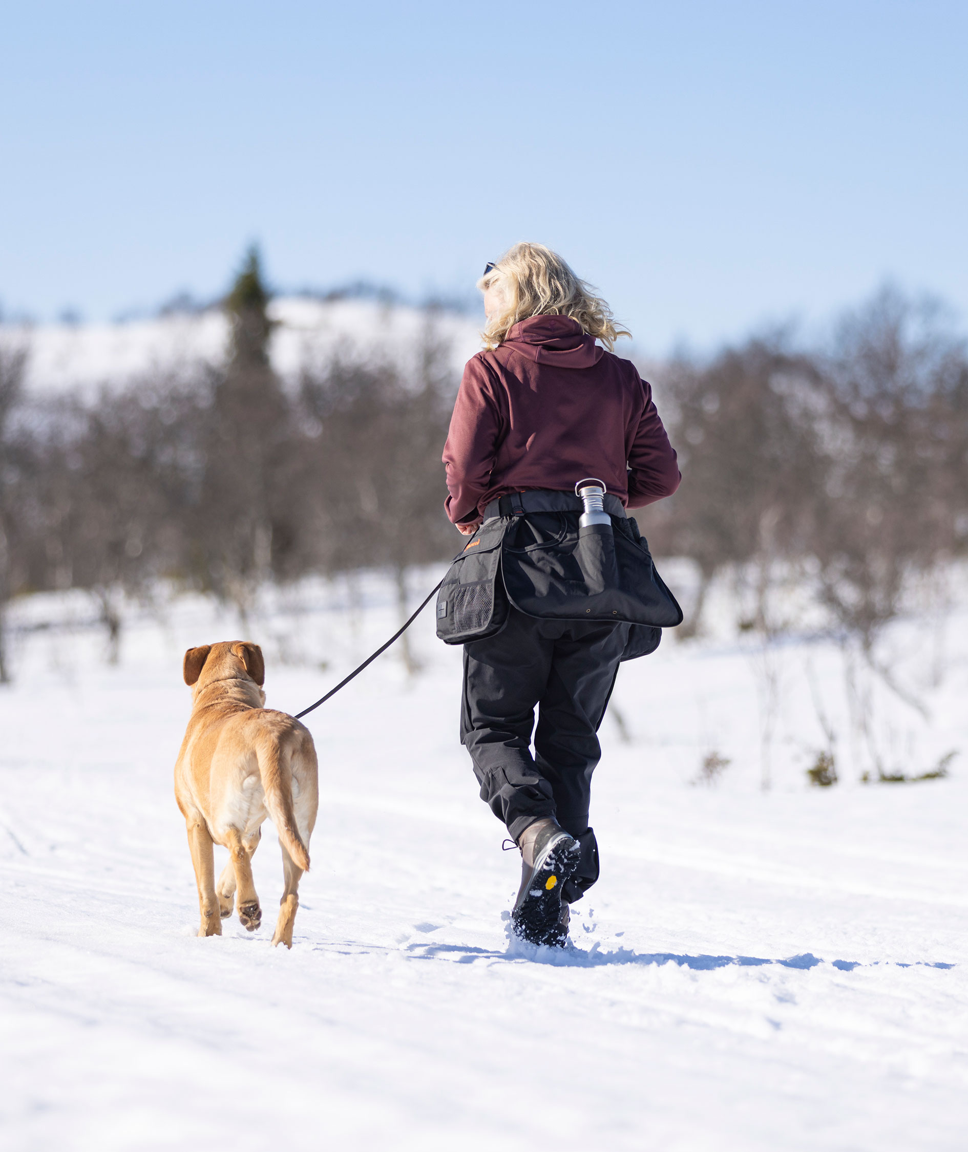 Pinewood Dog Sports Utility b&aelig;lte, Black/Dark Anthracite, large image number 11