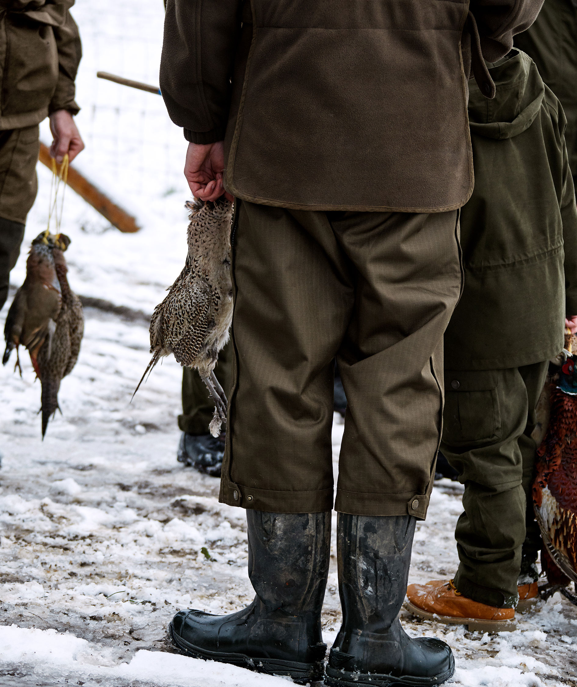 Seeland Buckthorn Short &ouml;verdragsbyxa, Shaded olive, large image number 4