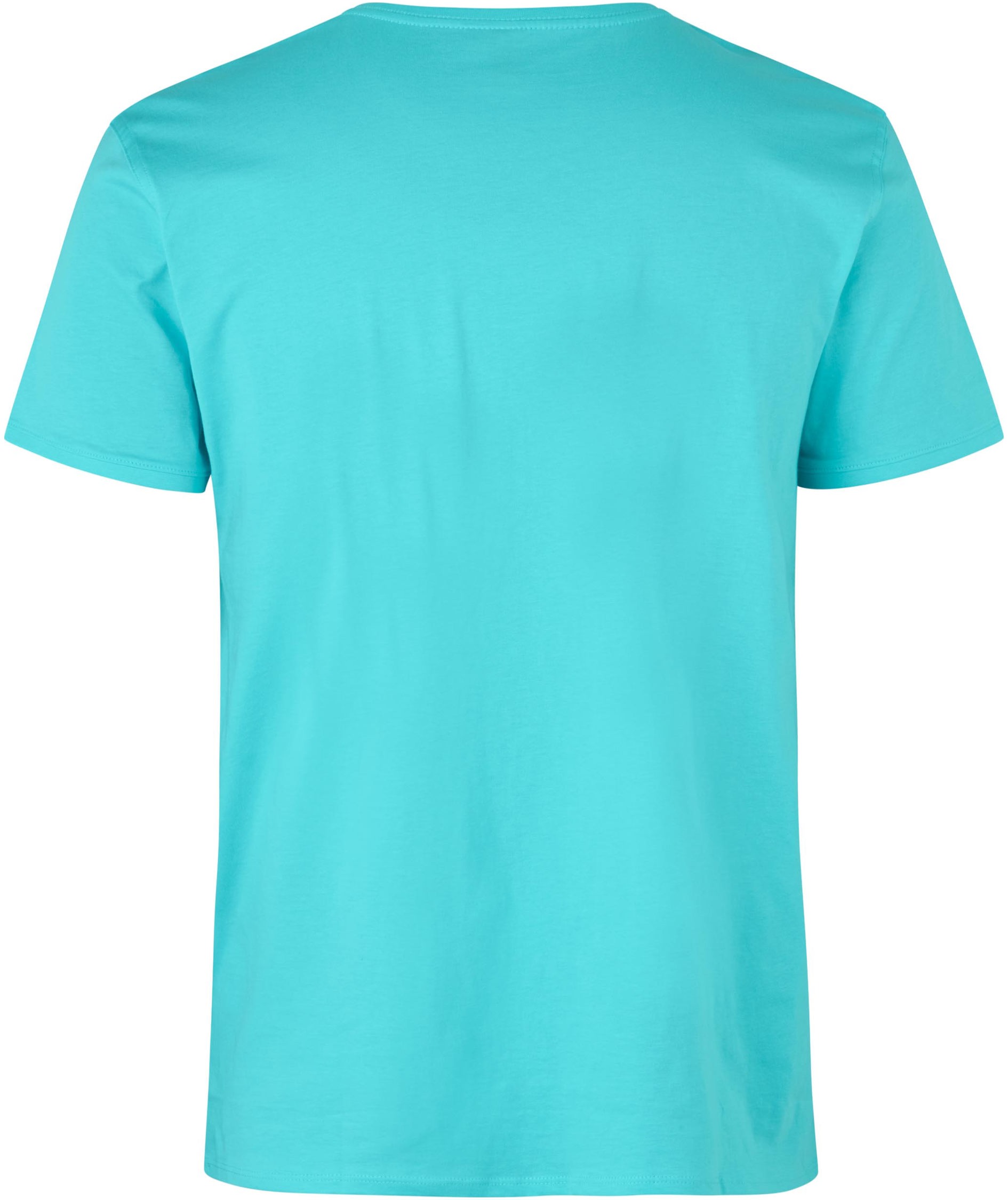 ID T-shirt, Mint