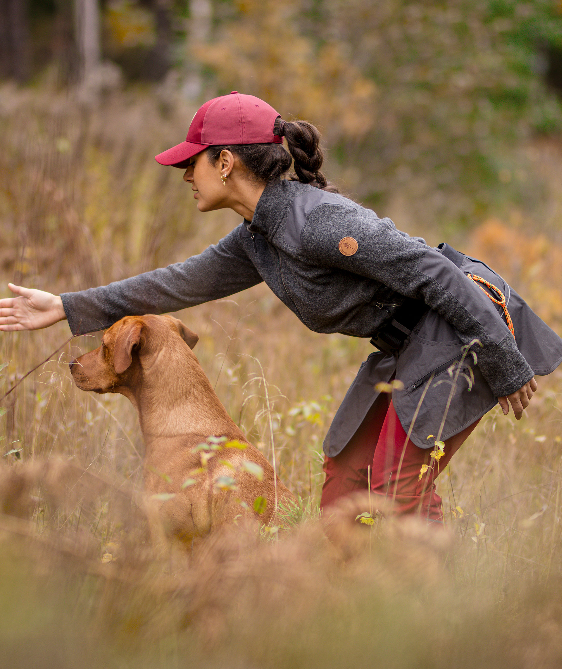 Pinewood Dog Sports b&aelig;lte, Dark Anthracite, Dark Anthracite, large image number 7