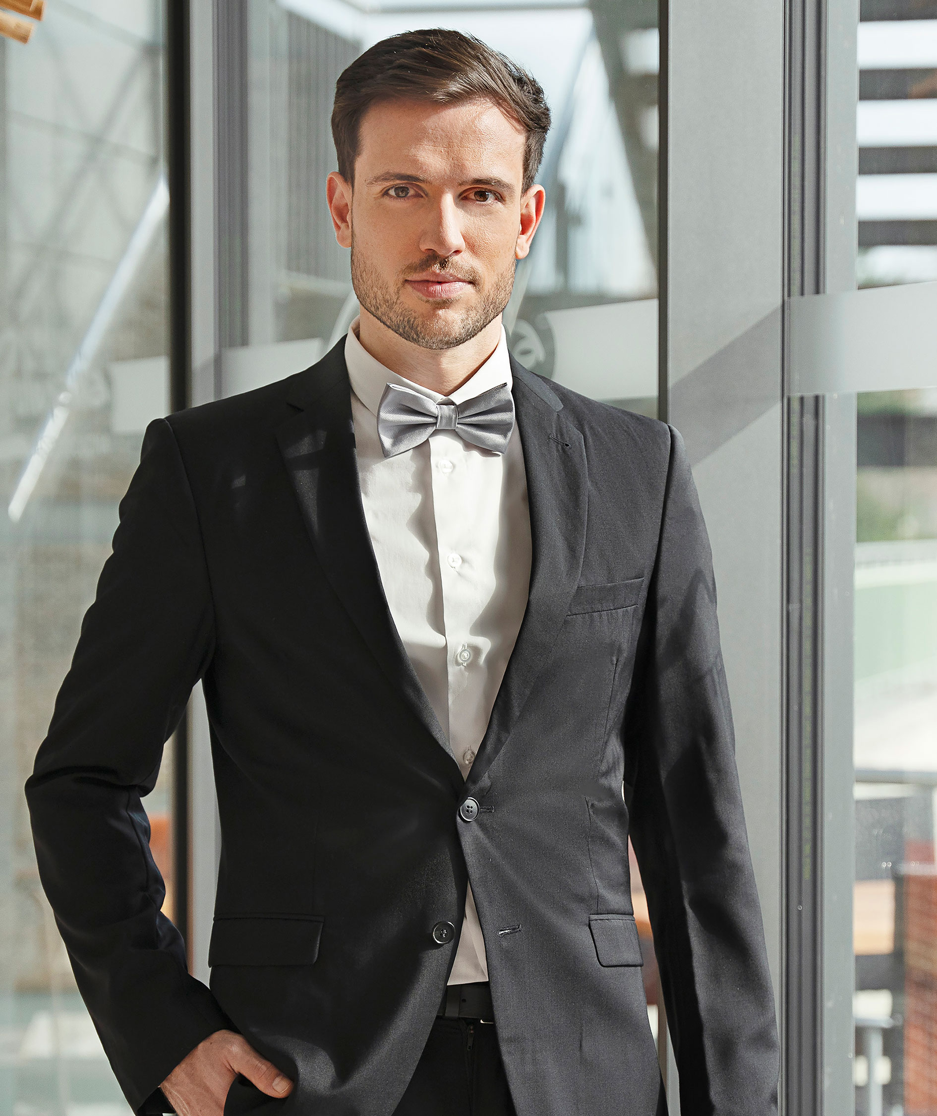 Karlowsky butterfly, Light Grey