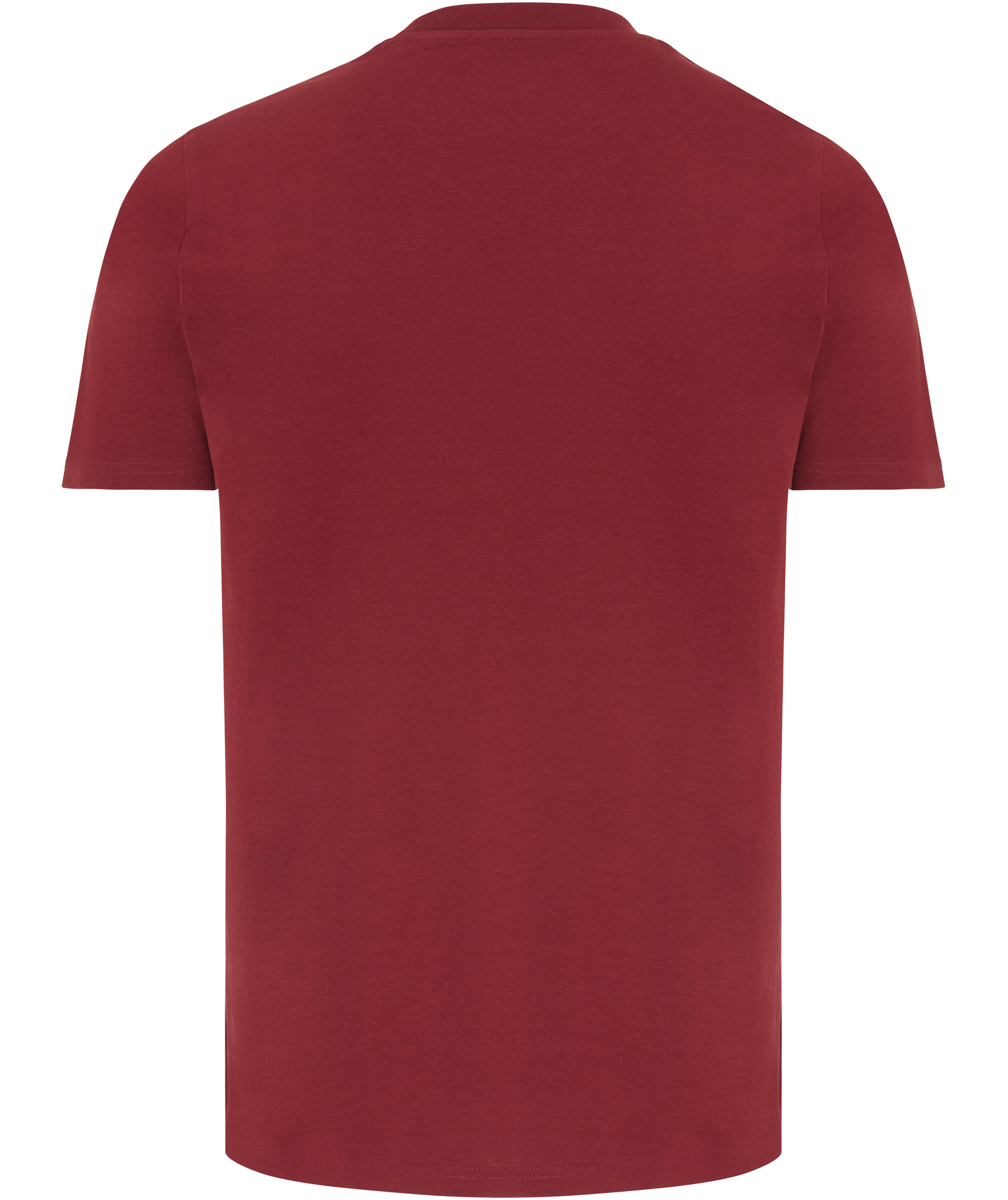Iqoniq Brett T-skjorte, Bordeaux Red, large image number 2