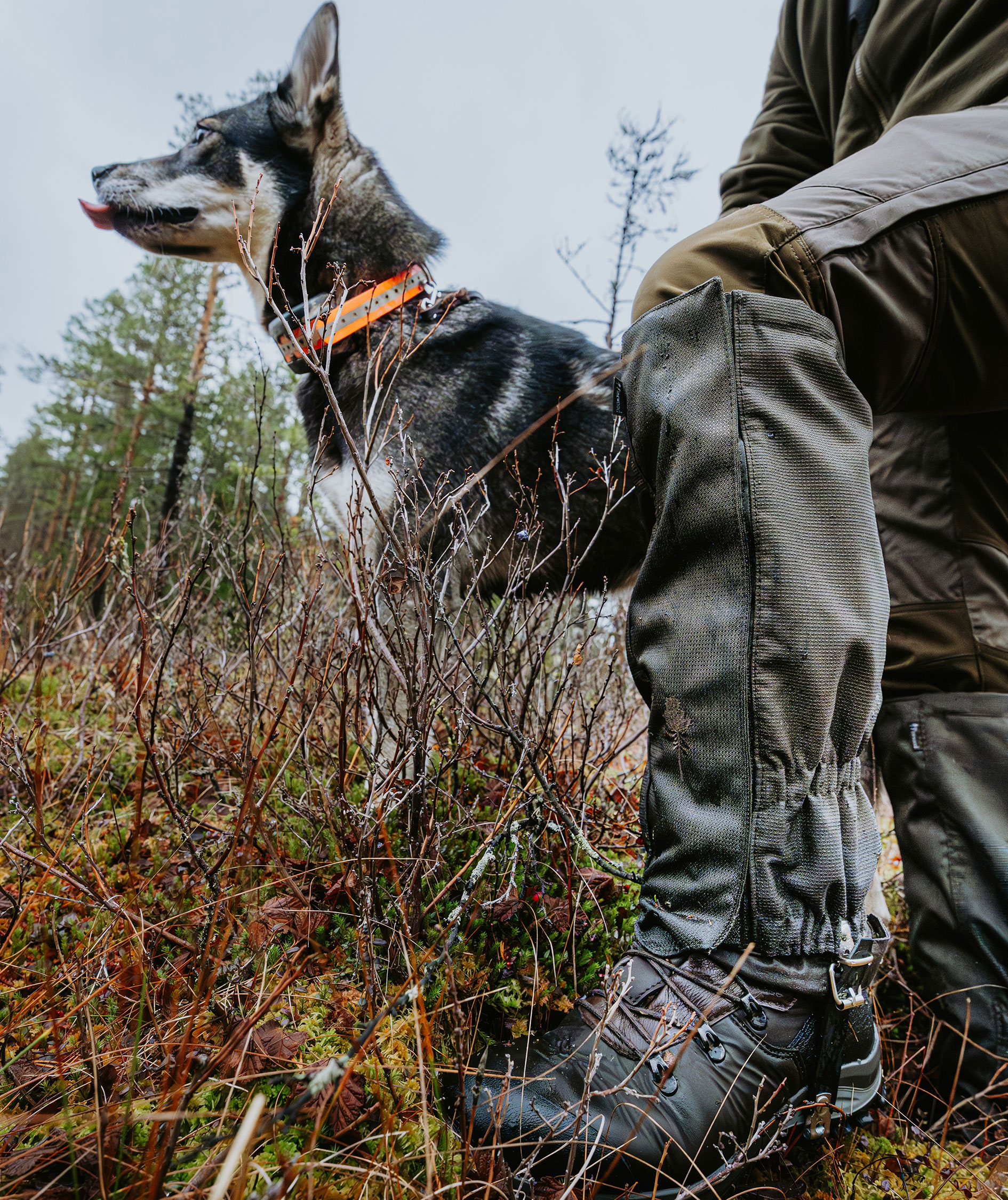 Pinewood Active 2.0 gaiters, Moss green, large image number 1