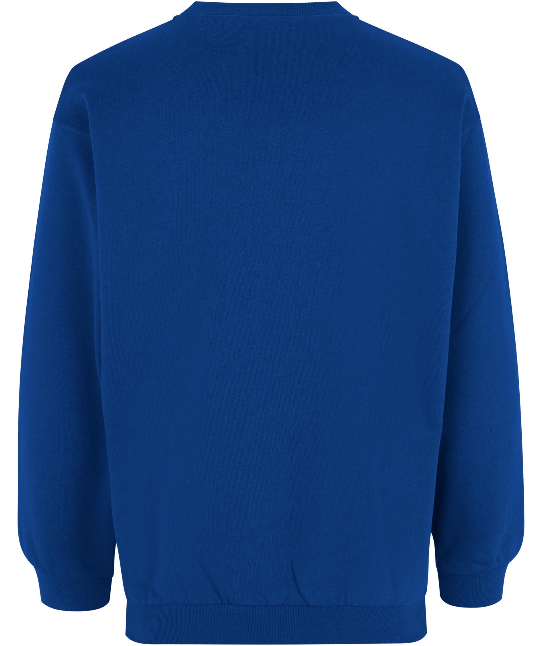 ID Game sweatshirt, Kungsbl&aring;