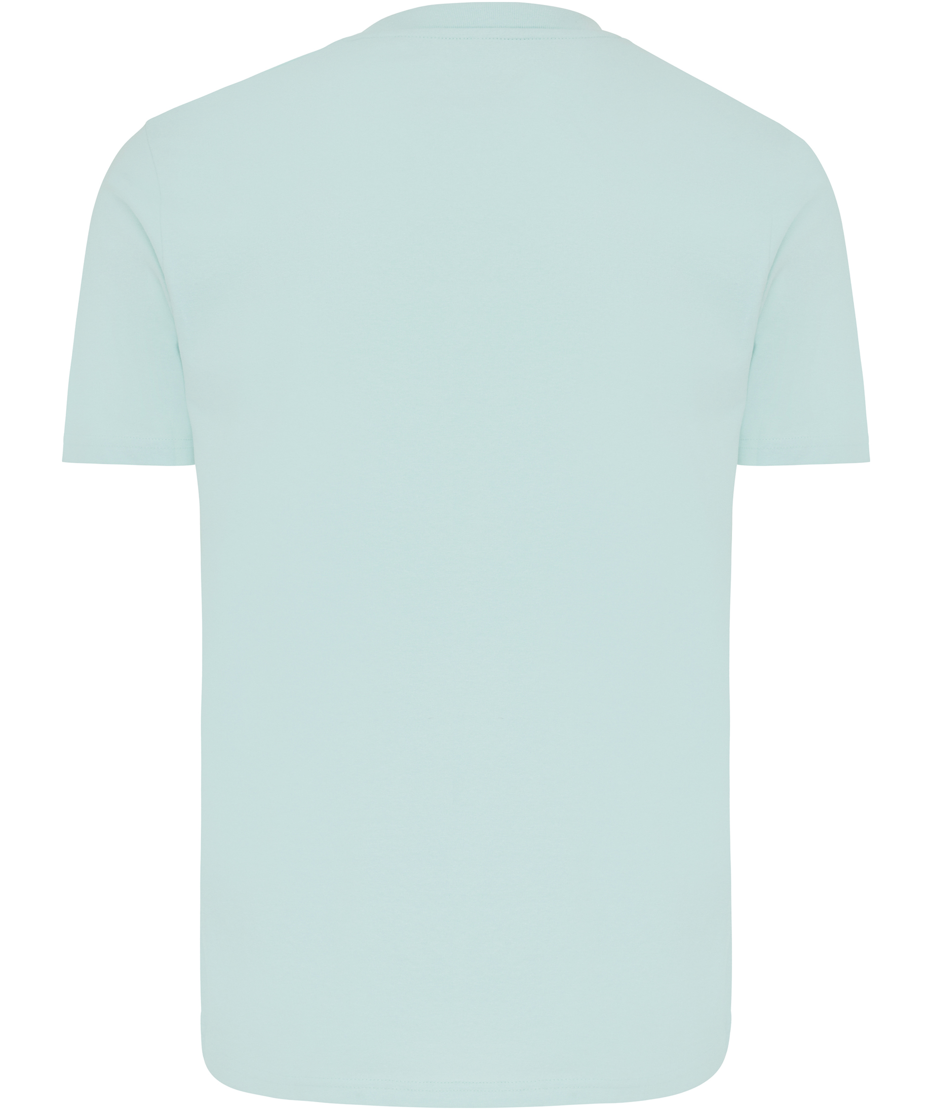 Iqoniq Brett T-shirt, Crushed Mint, large image number 2