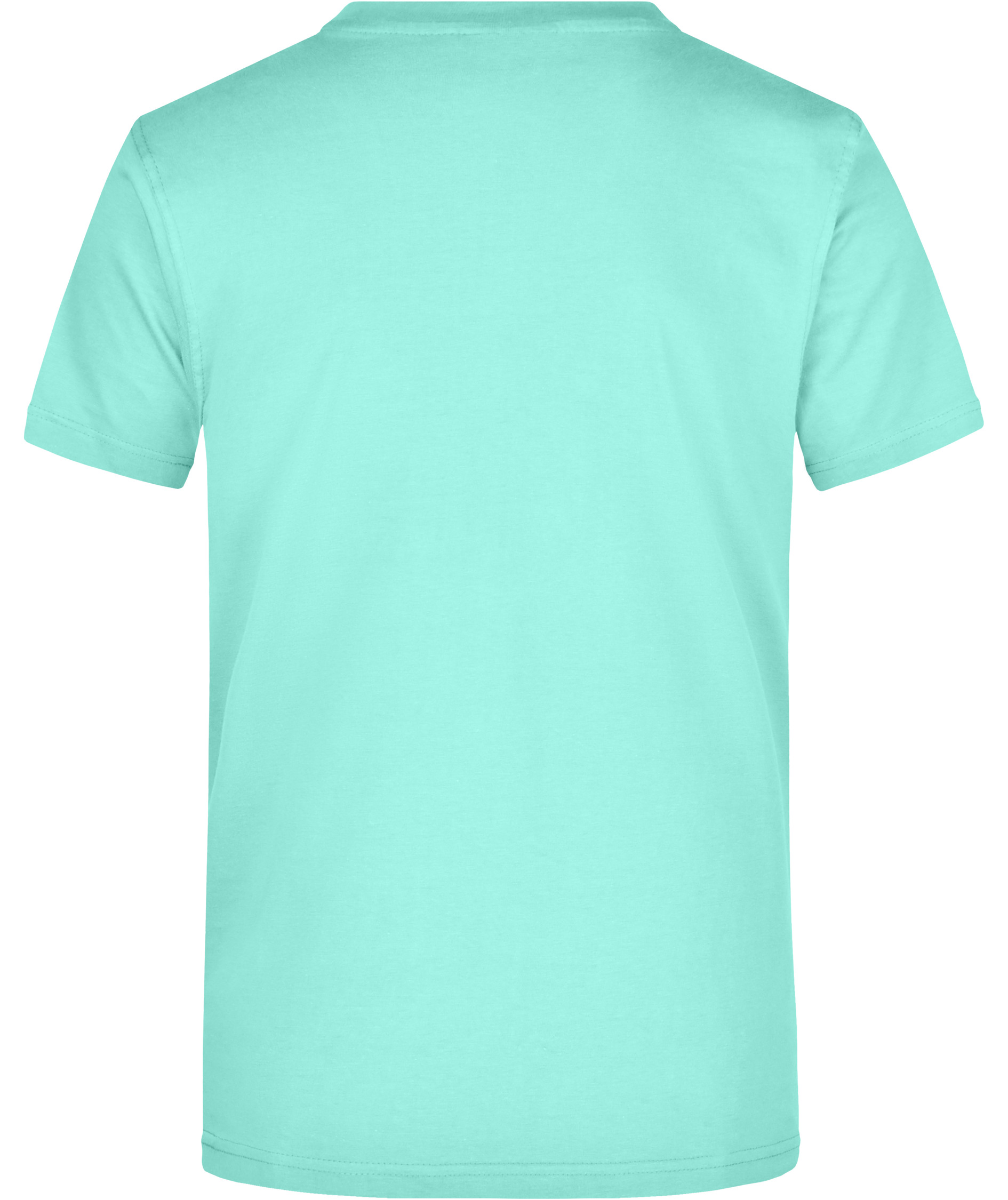 James & Nicholson T-shirt Round-T Heavy, Mint