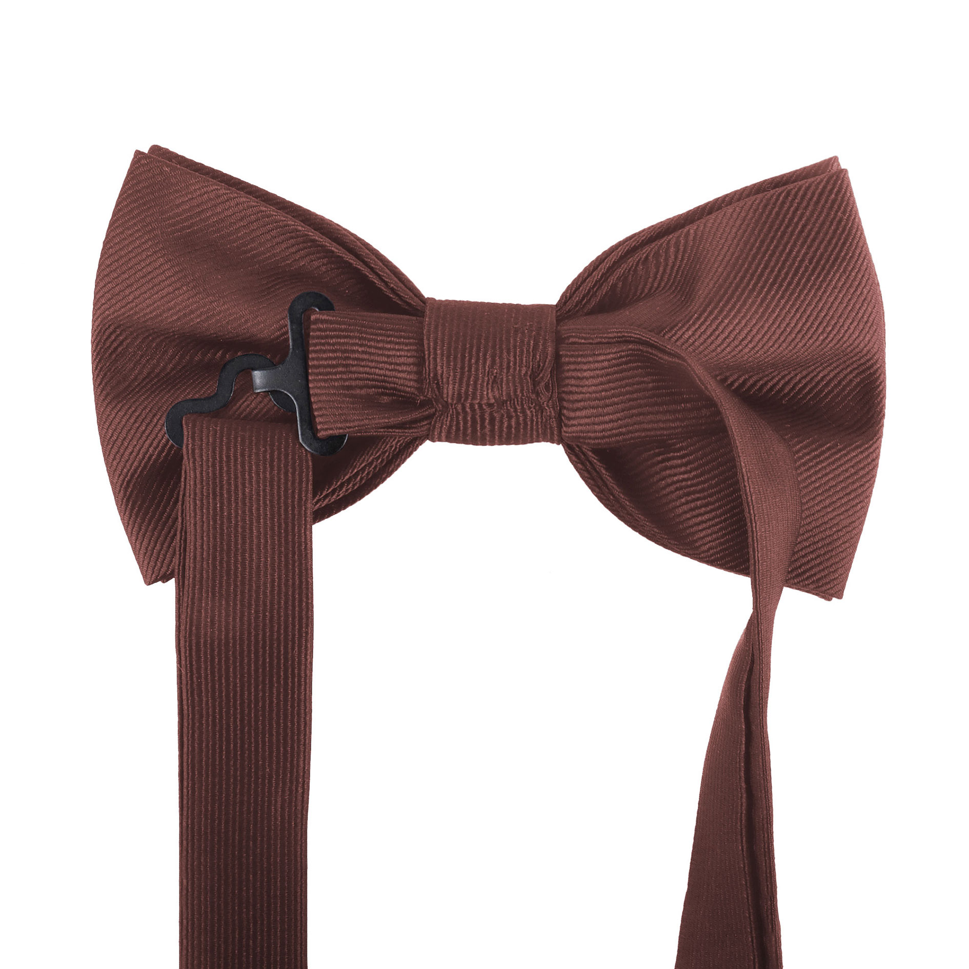 Karlowsky butterfly, Light Brown