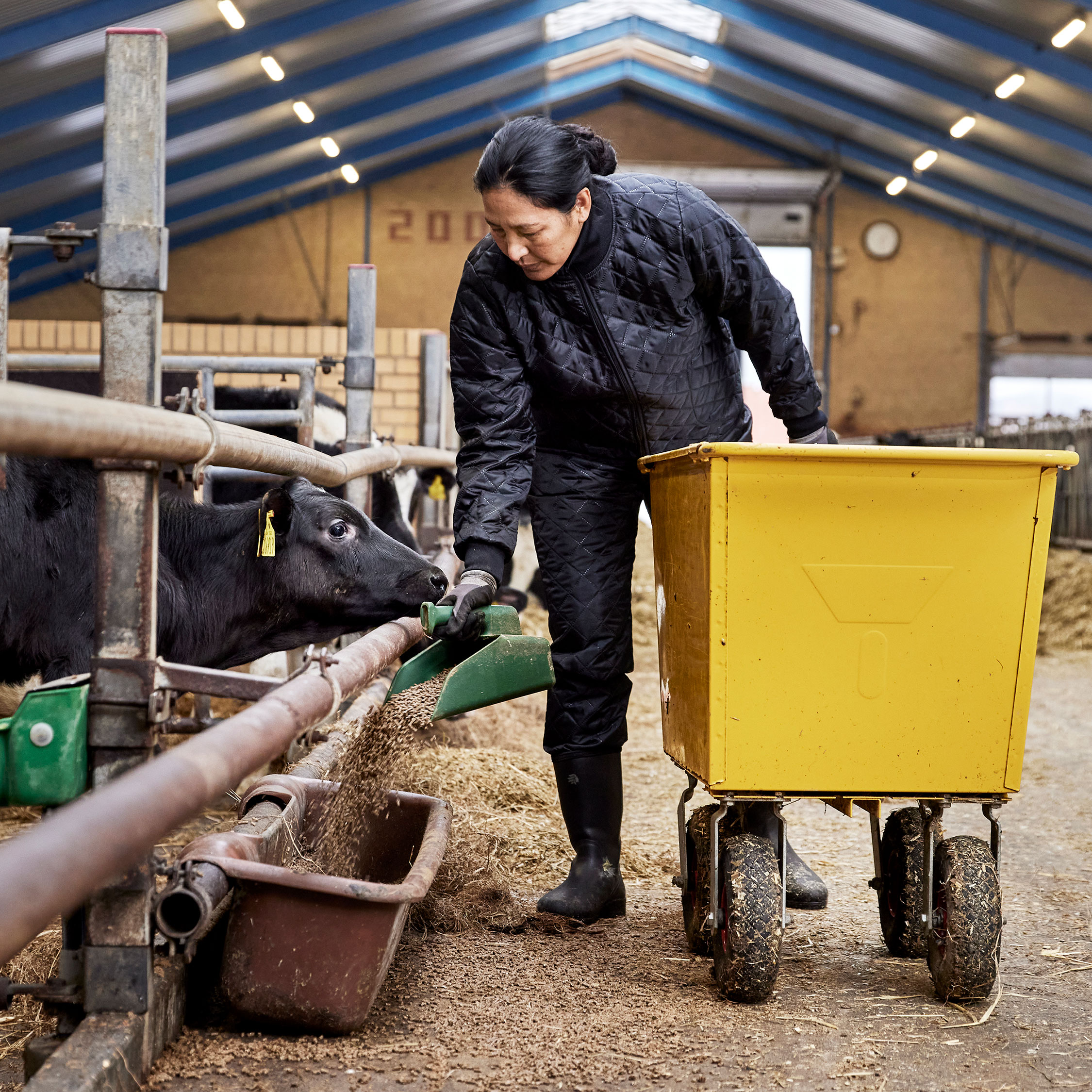 ELKA dame termobukser, Sort, large image number 3