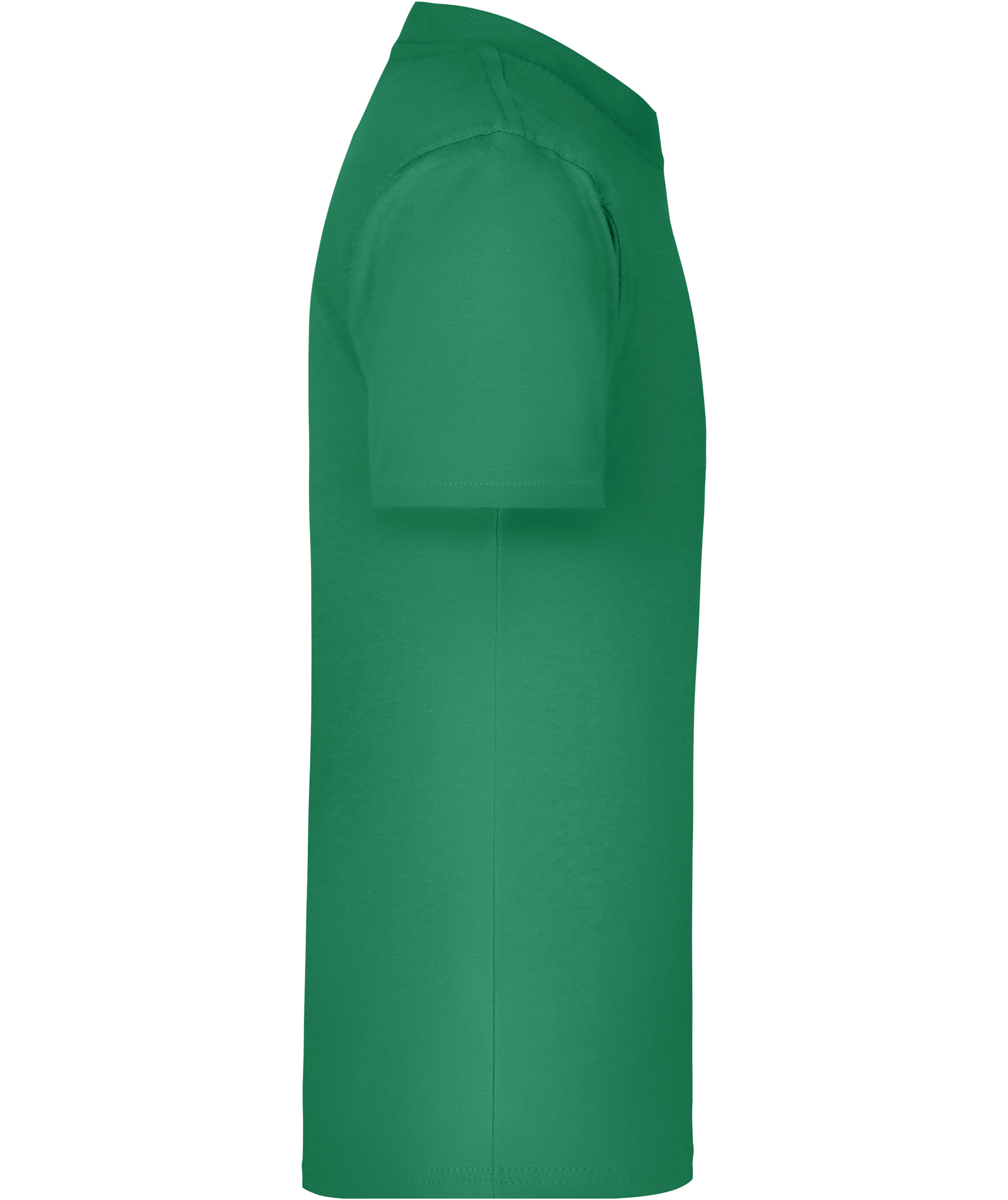 James & Nicholson Junior Basic-T T-shirt til b&oslash;rn, Irish-Green, large image number 2