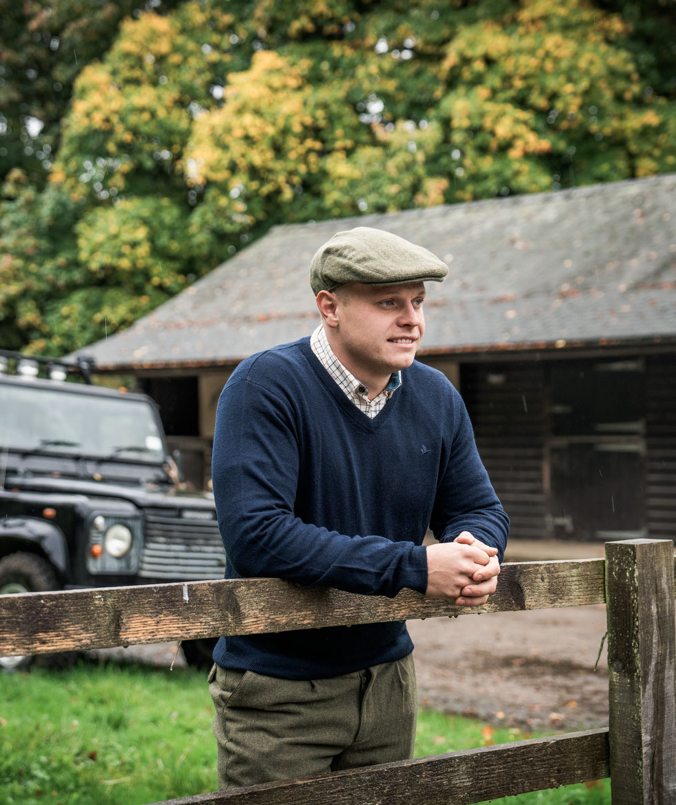 Seeland Pine Strickpullover mit Merinowolle, Dark Sapphire