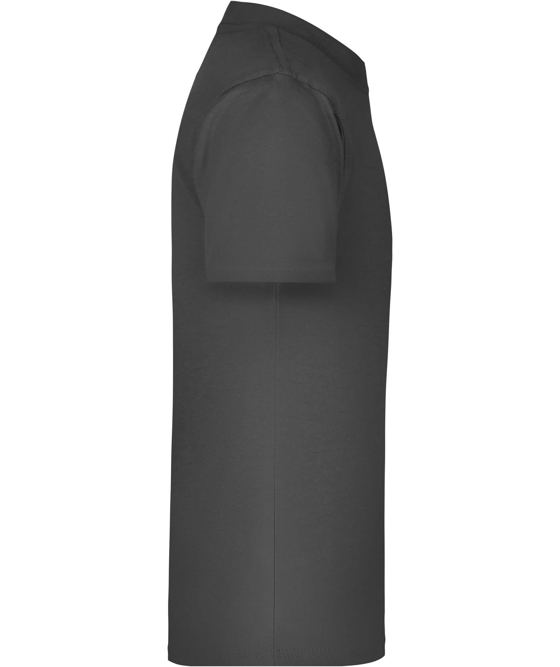 James & Nicholson Junior Basic-T T-Shirt f&uuml;r Kinder, Graphite, large image number 2