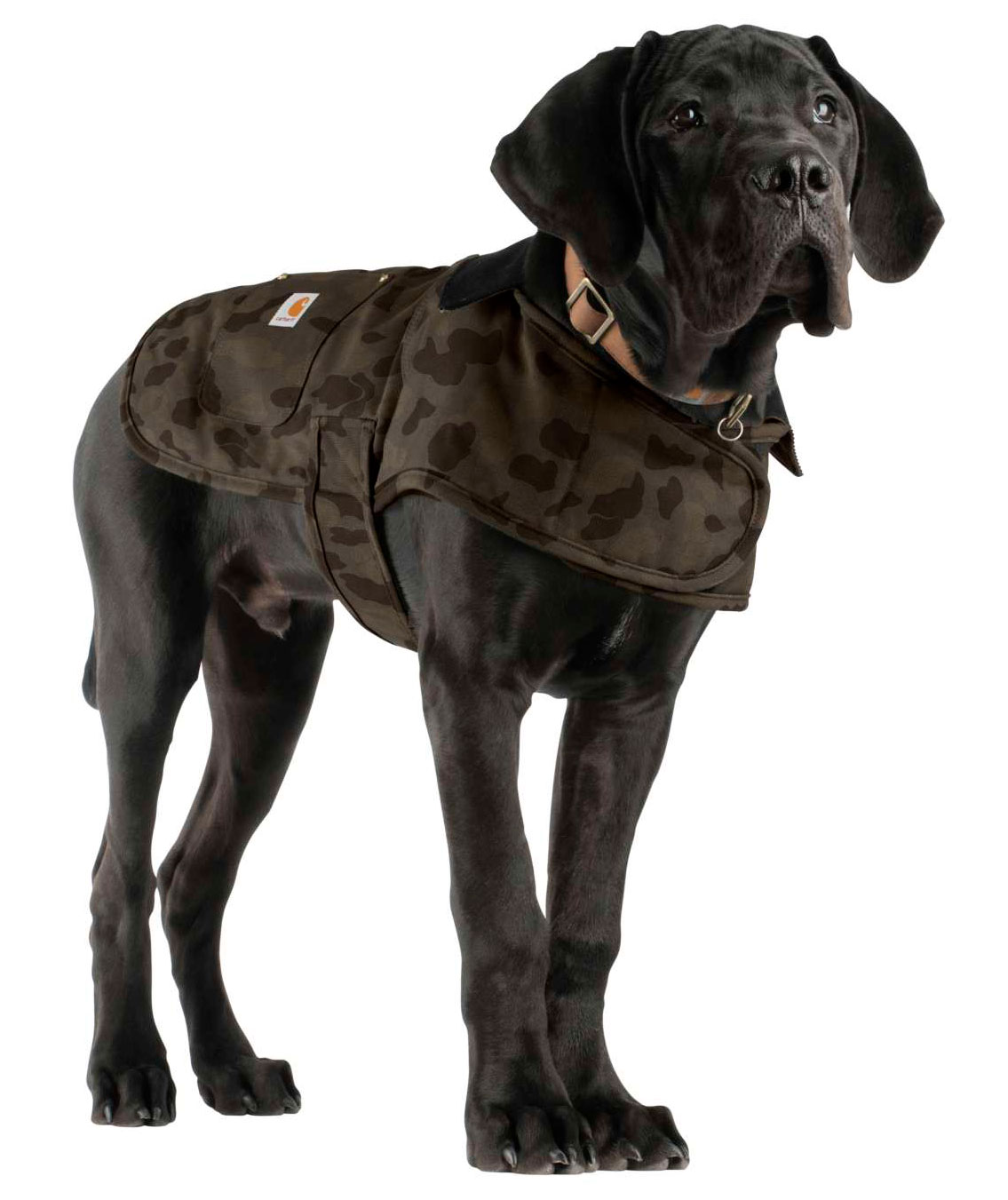 Carhartt Chore Coat hundefrakk