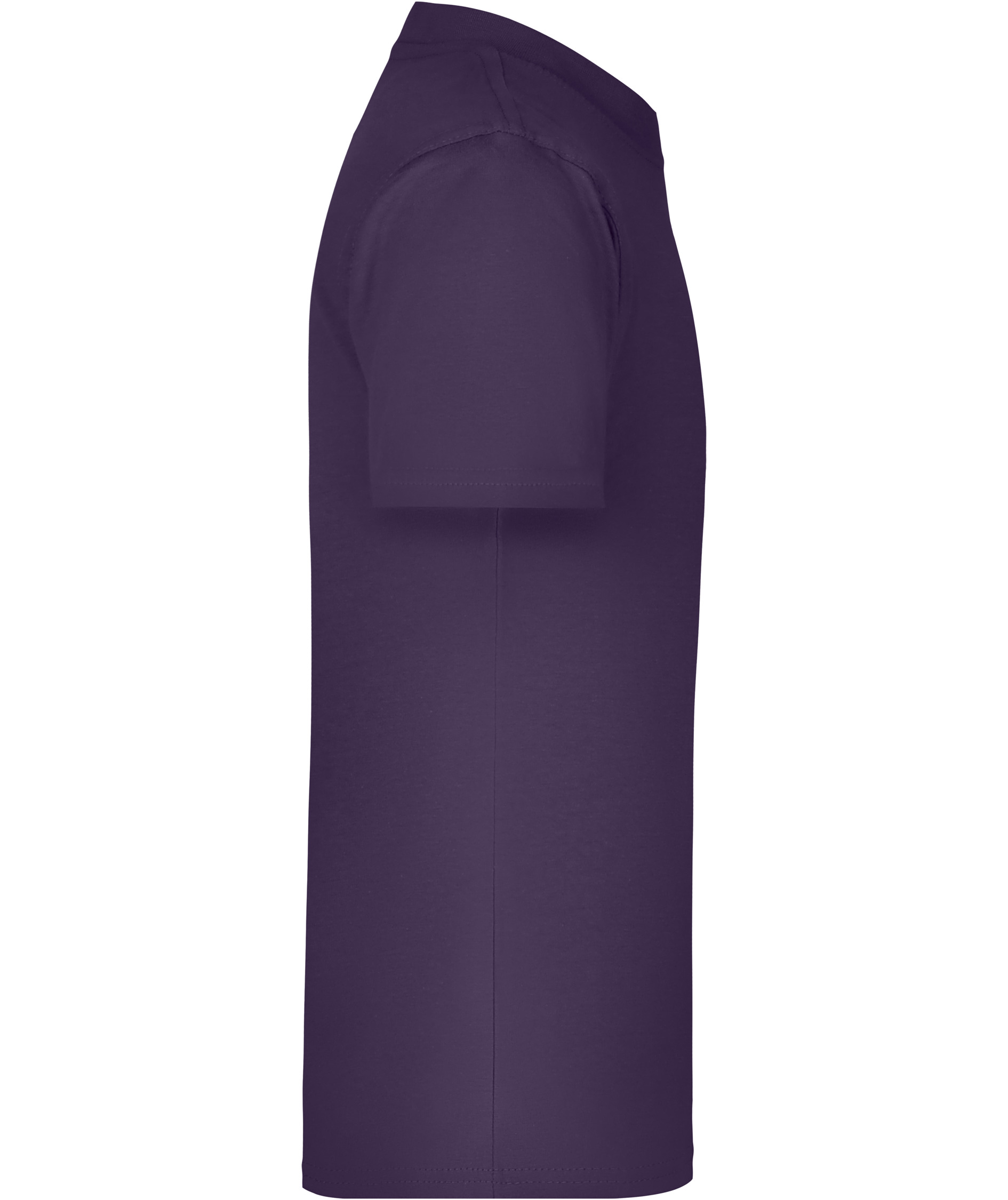 James & Nicholson Junior Basic-T T-Shirt f&uuml;r Kinder, Aubergine, large image number 2