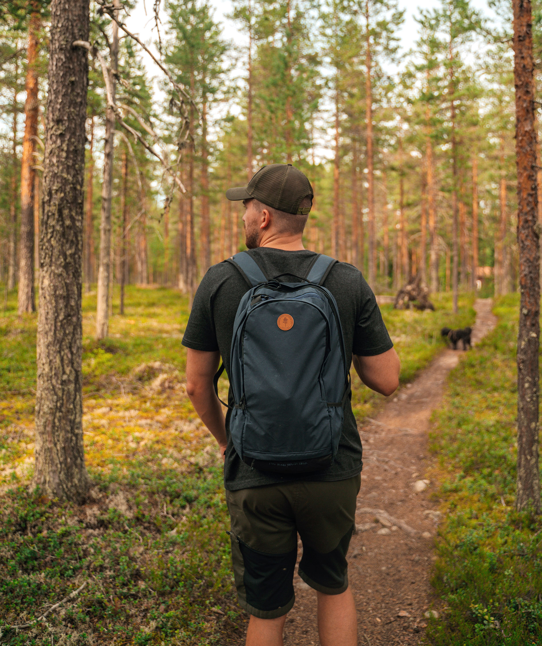 Pinewood Finnveden Trail Hybrid shorts, Black/Mossgreen, large image number 6