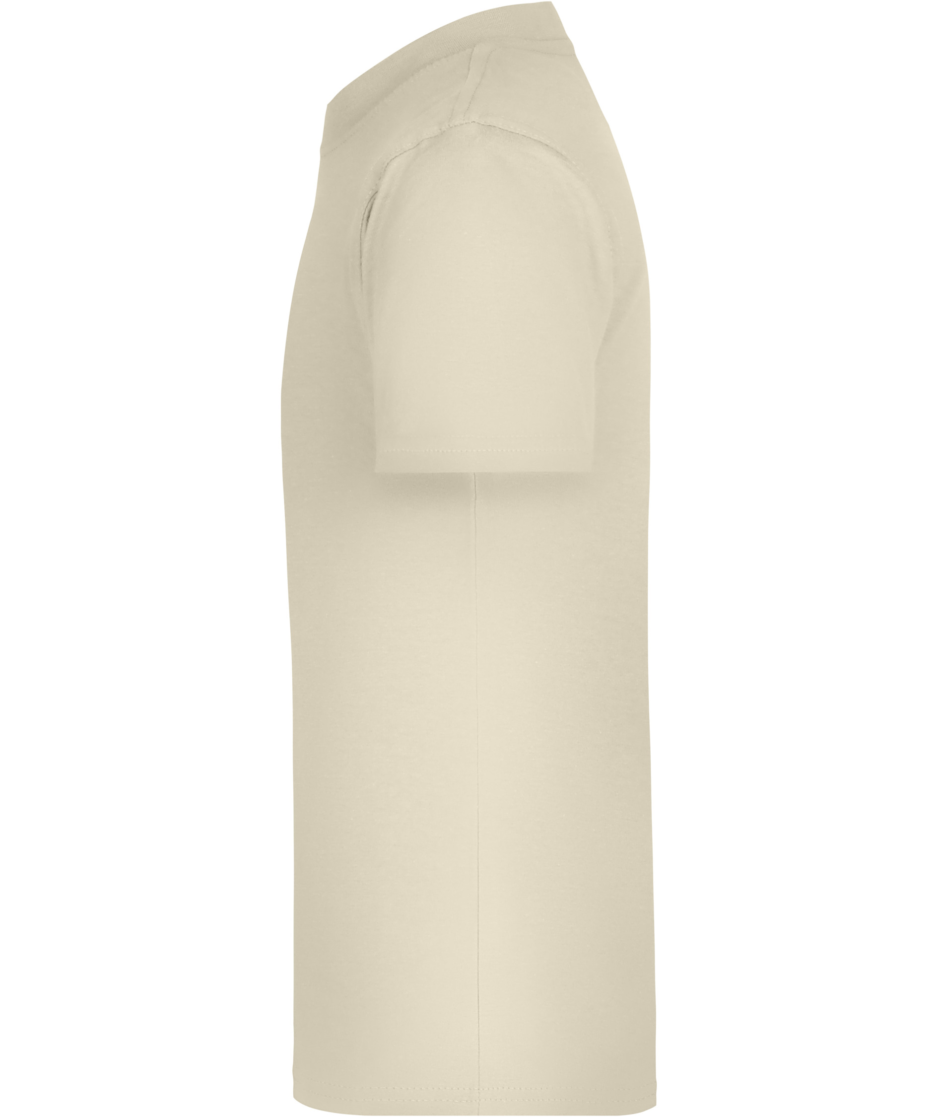 James & Nicholson Junior Basic-T T-shirt til b&oslash;rn, Stone, large image number 4