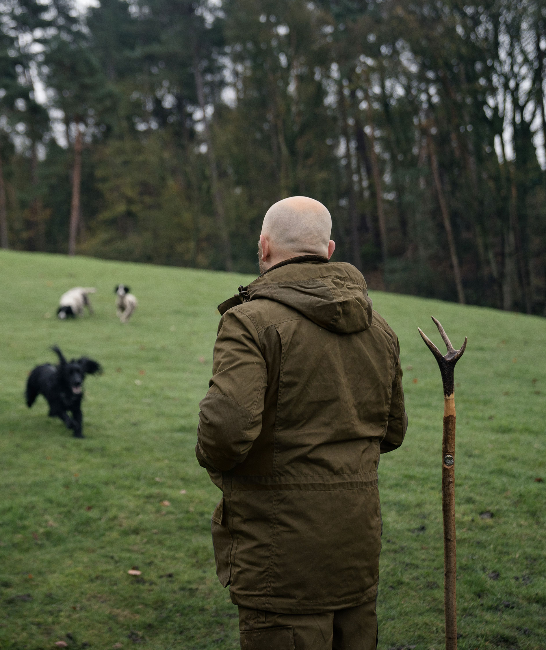 Seeland Key-Points Elements Jacke, Pine Green/Dark Brown, large image number 11