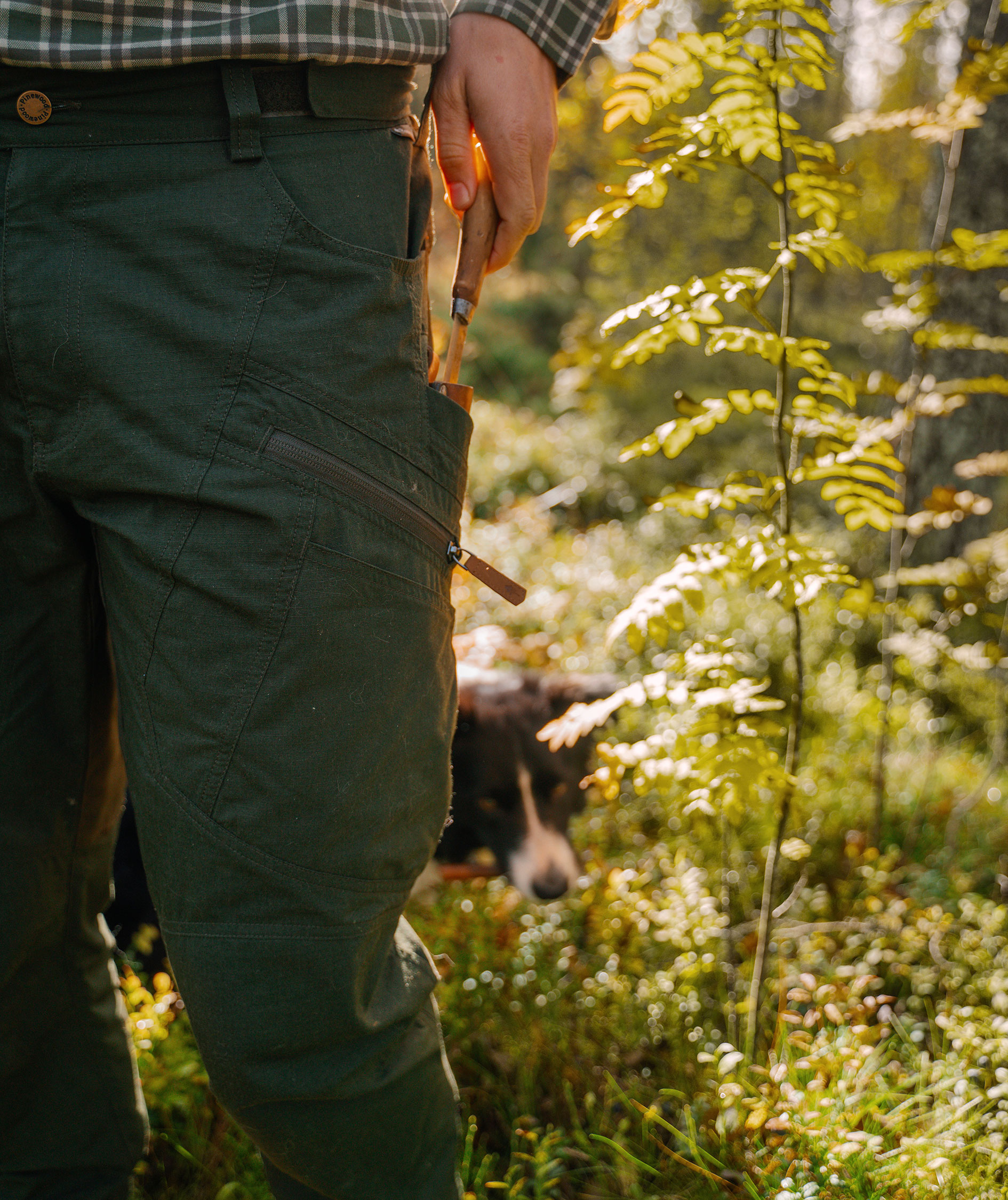 Pinewood&nbsp;Lappland Expert bukser, Moss green, large image number 9