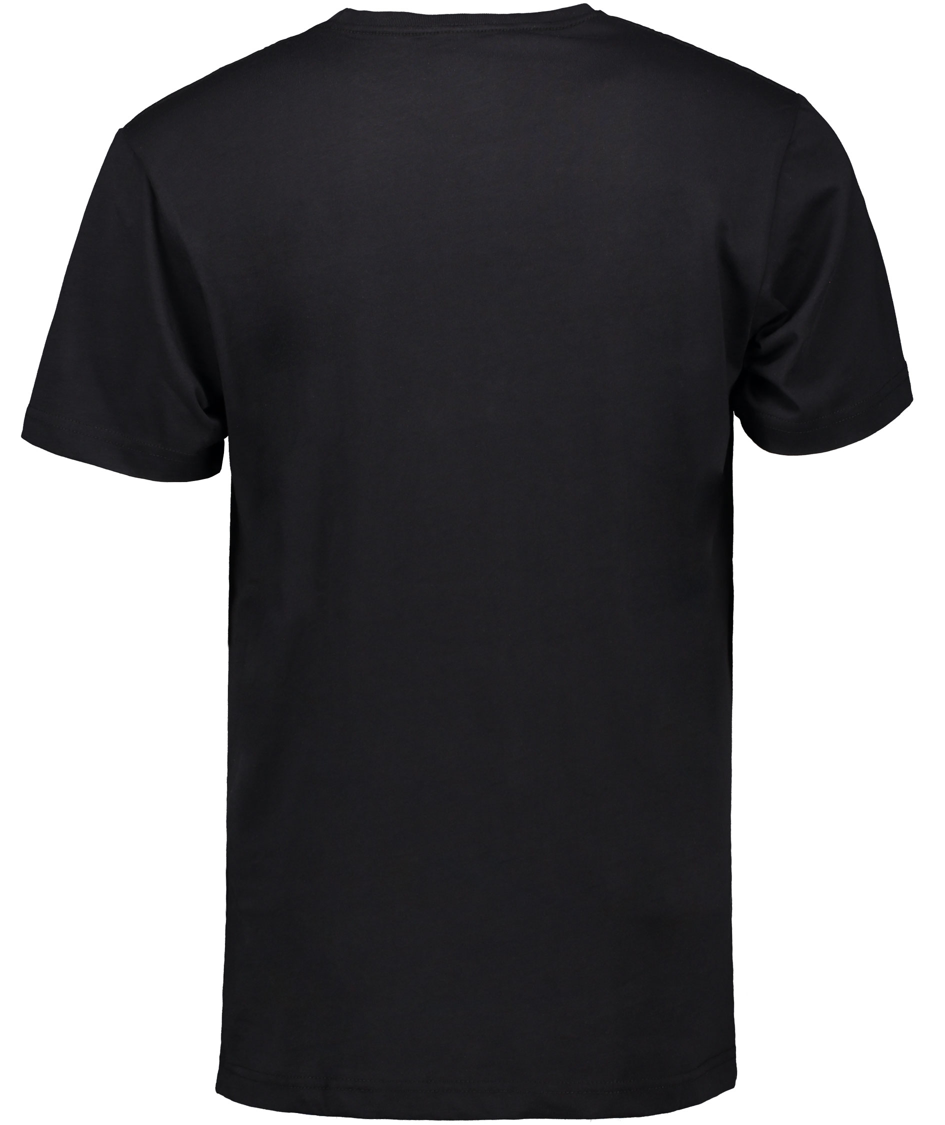 Westborn Logo T-skjorte, Black/Gray, large image number 4