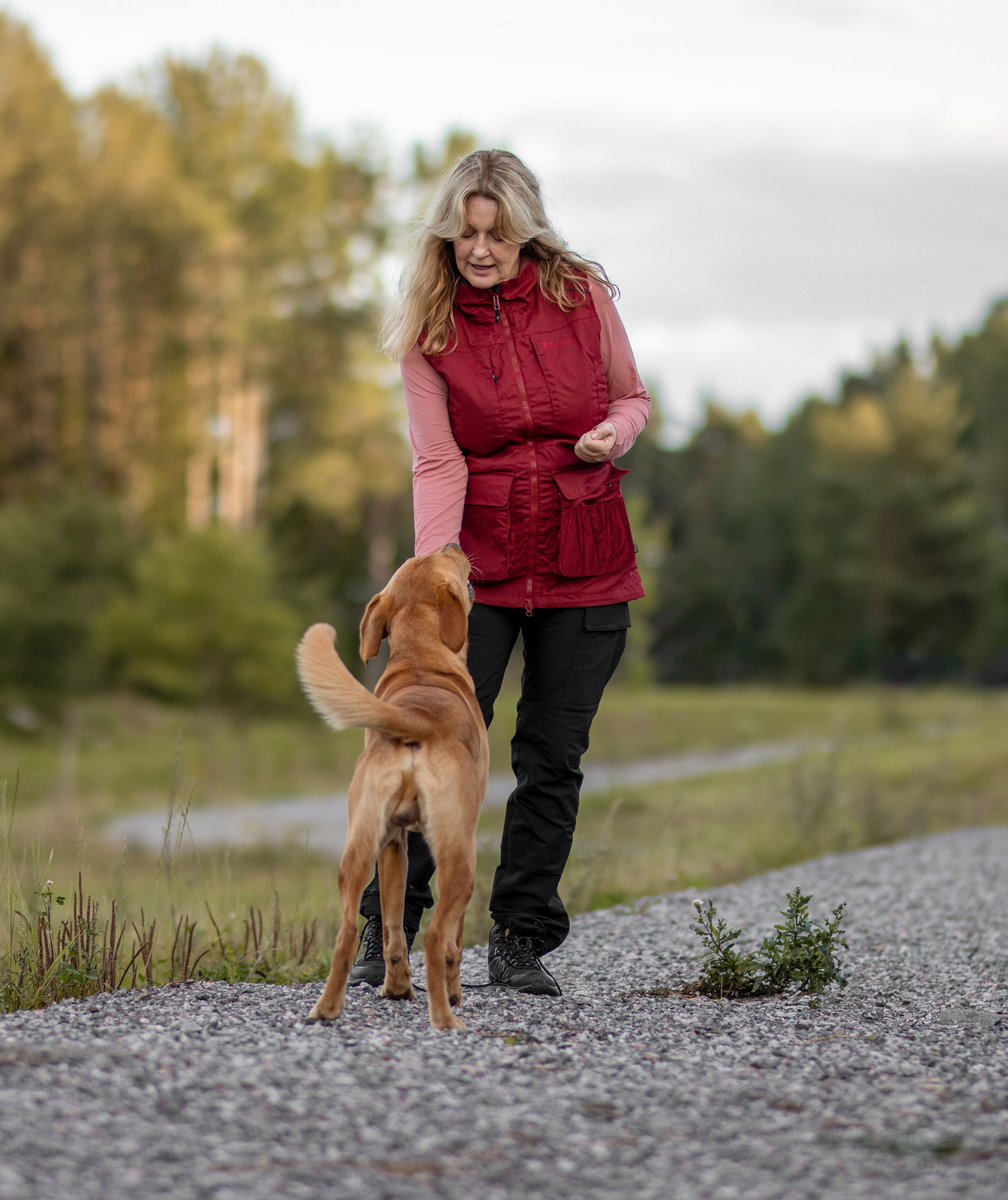 Pinewood Dog Sports Trainer damebuks, Black