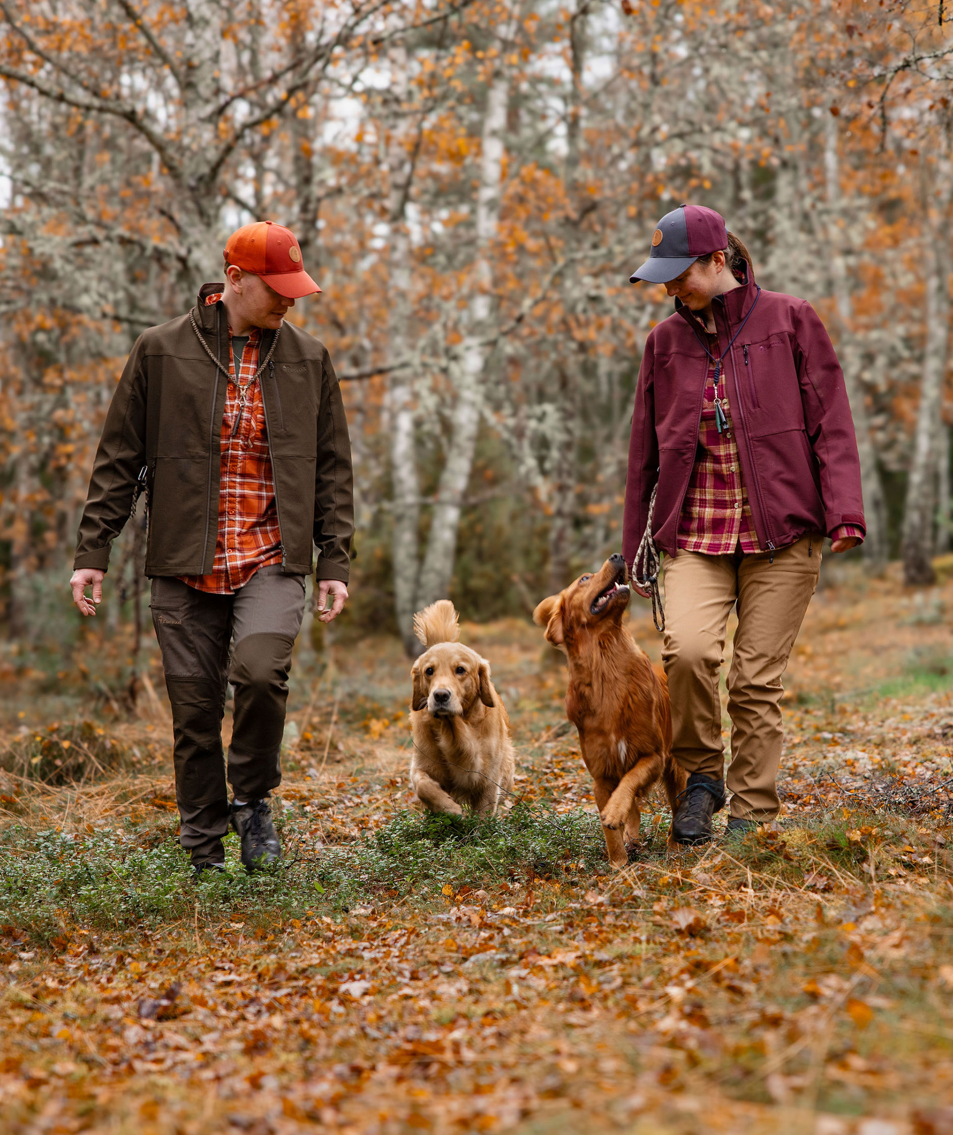 Pinewood Dog Sports Hybrid dame softshelljakke, Earth Plum, large image number 11