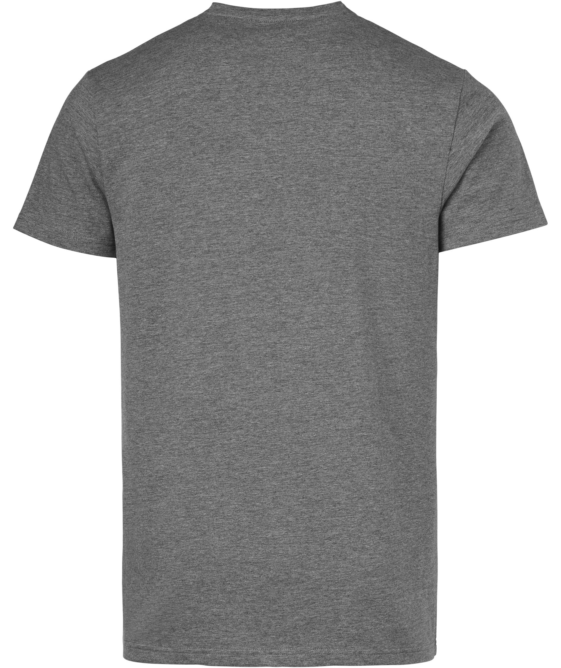 South West Frisco T-shirt, Medium Greymelange, large image number 2