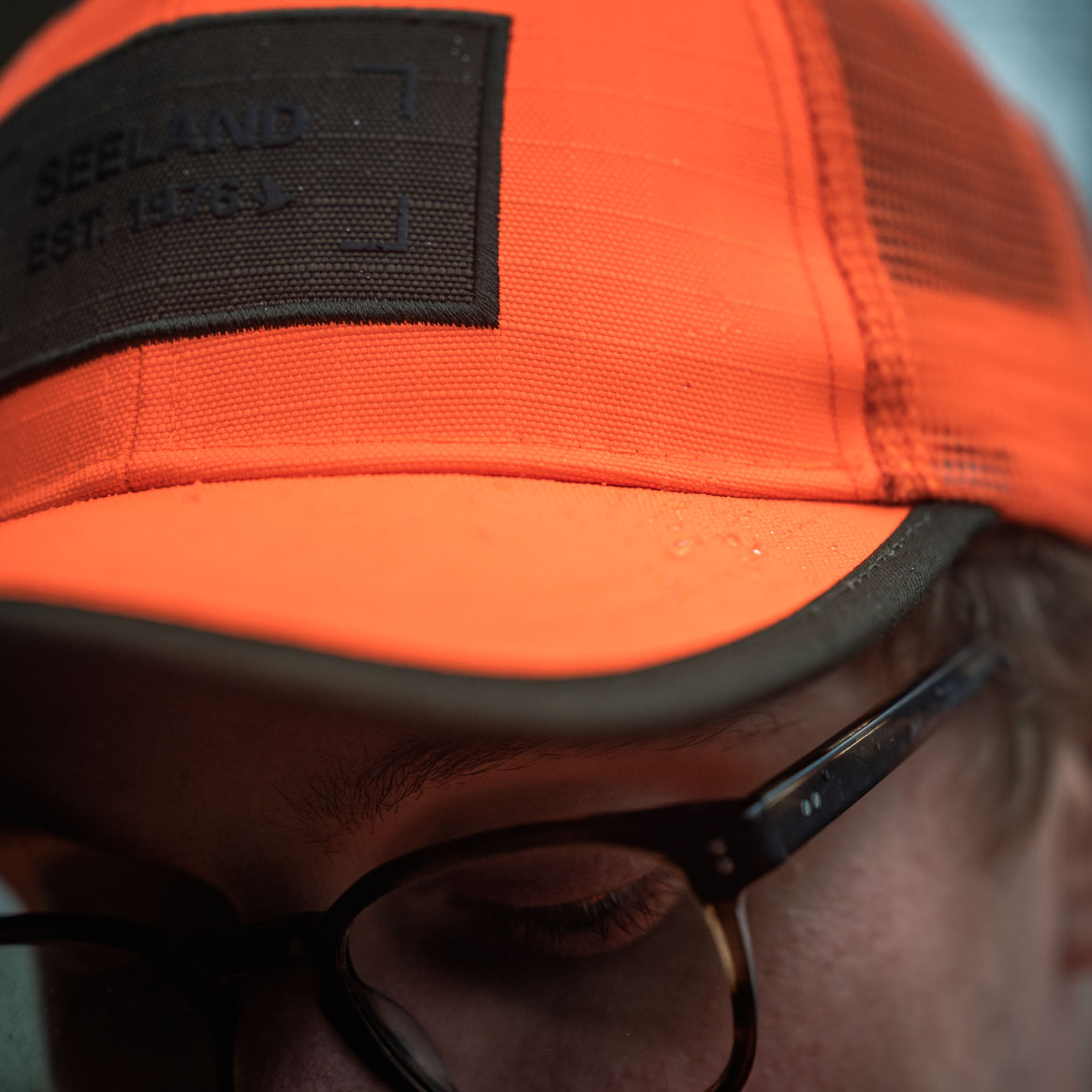 , Orange Blaze, large image number 3