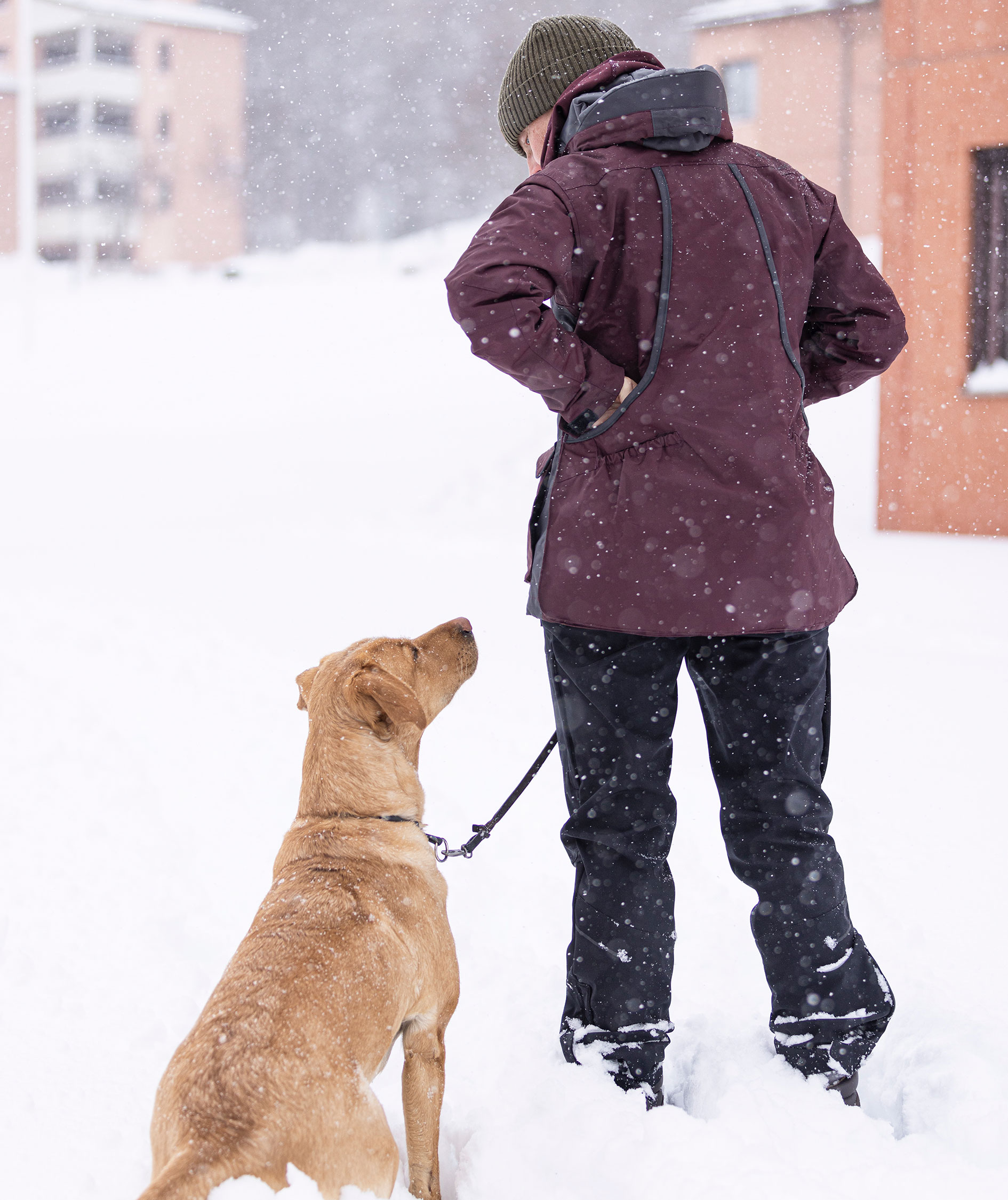 Pinewood Wilda Stretch dame skalbukser, Sort, large image number 9