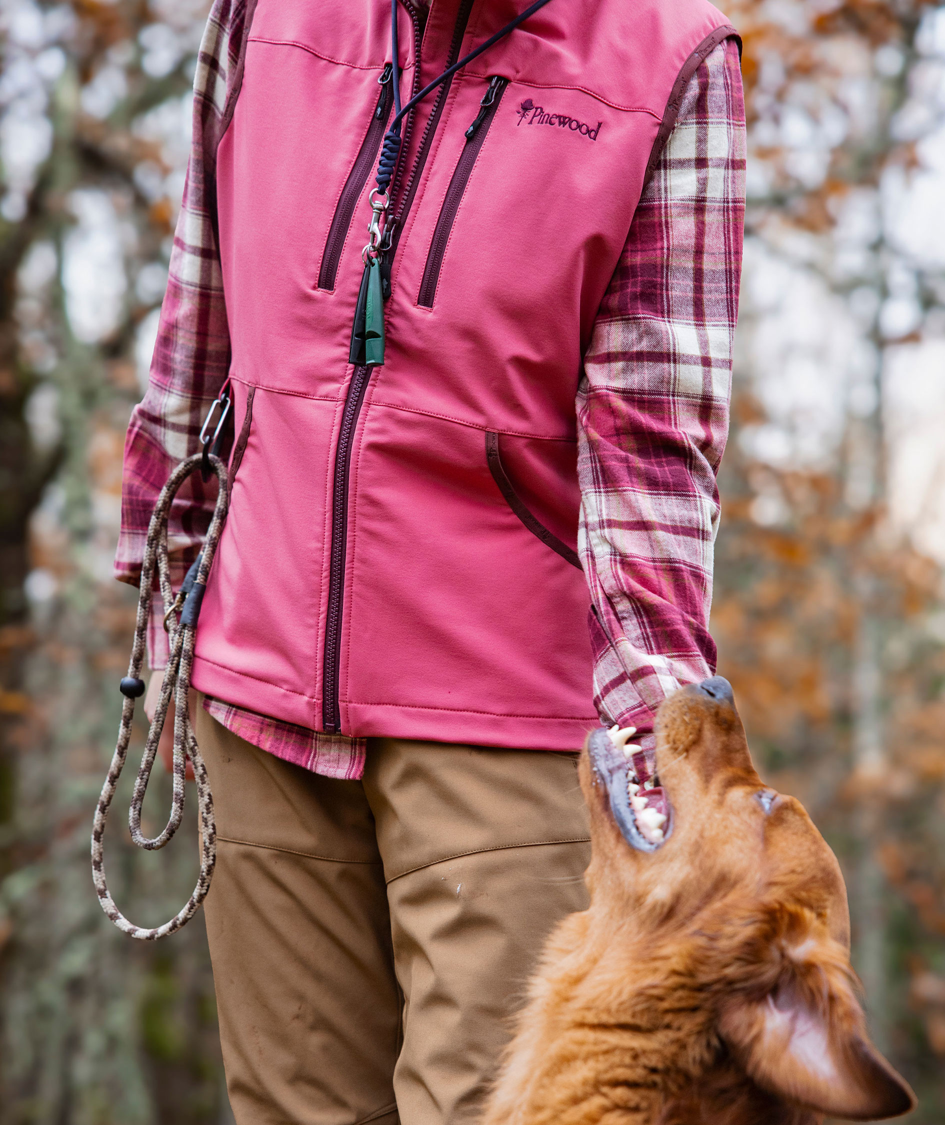 Pinewood Dog Sports Stretch dame softshellvest, 5685, large image number 8