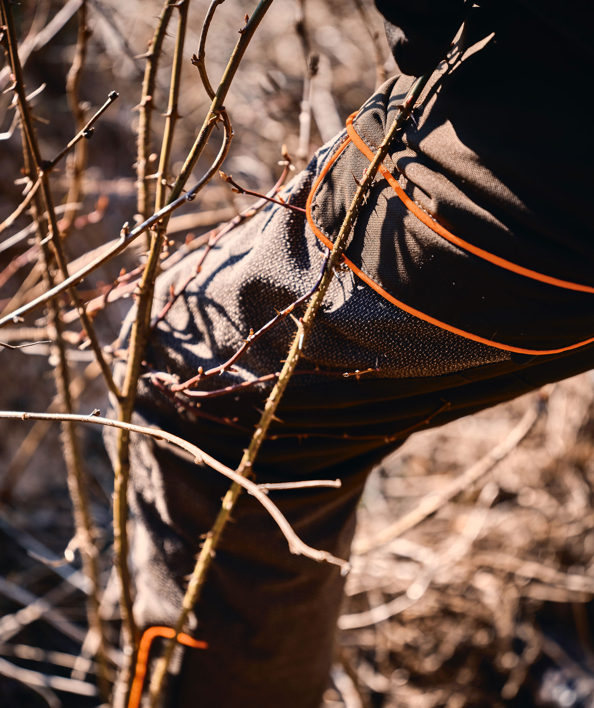 Pinewood&nbsp;Thorn Resistant bukser, Mosgr&oslash;n, large image number 3