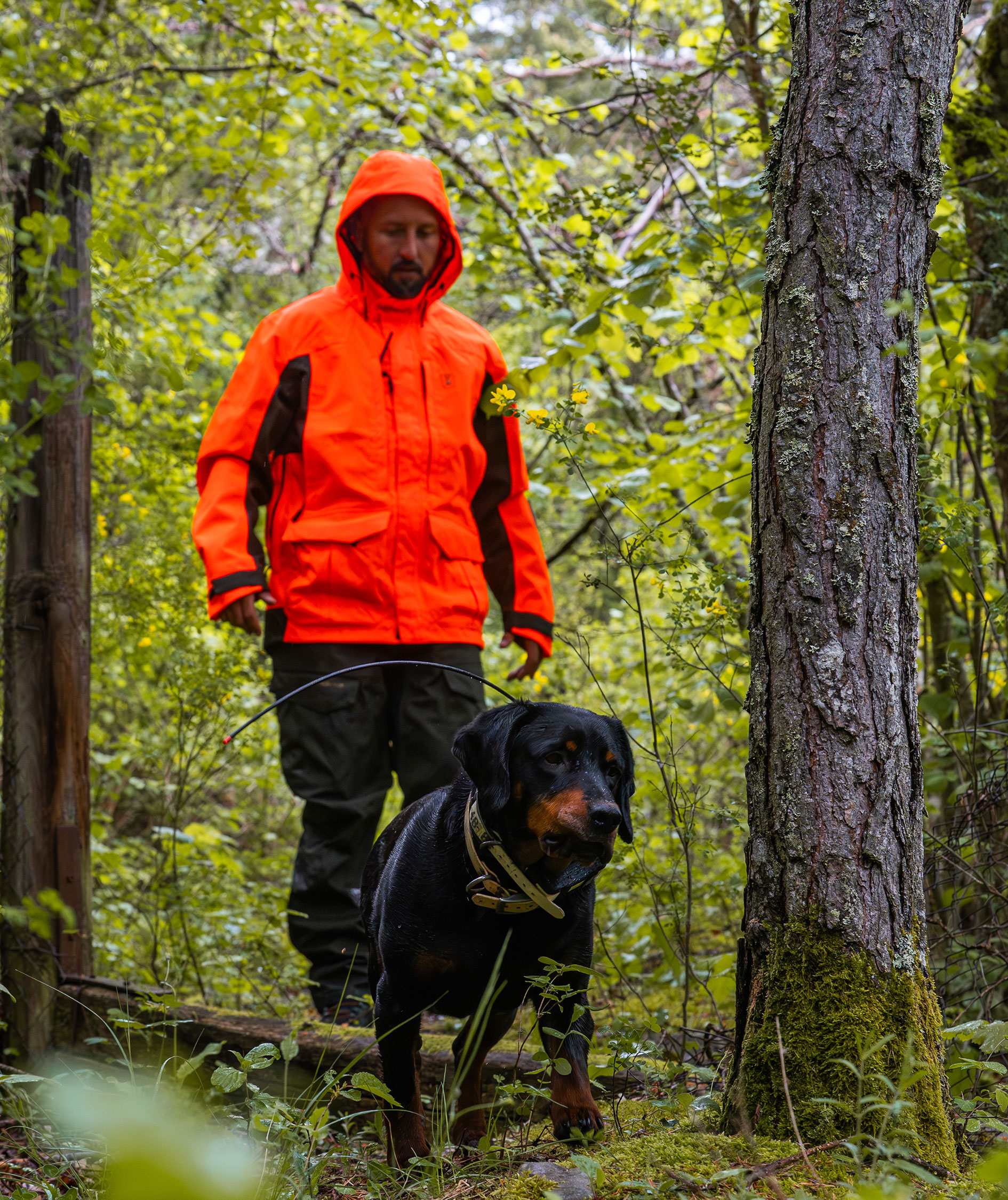 Deerhunter Recon Dura-Tex Membrane bukser, Deepwood, large image number 8