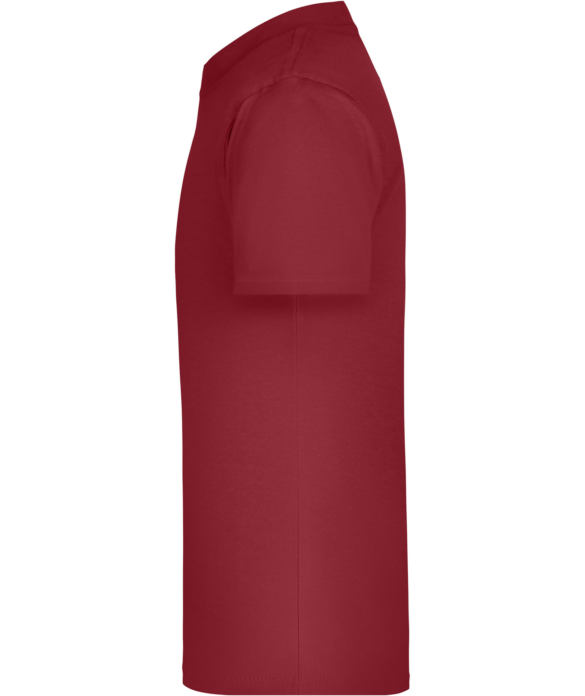 James & Nicholson Junior Basic-T T-shirt til b&oslash;rn, Wine, large image number 3