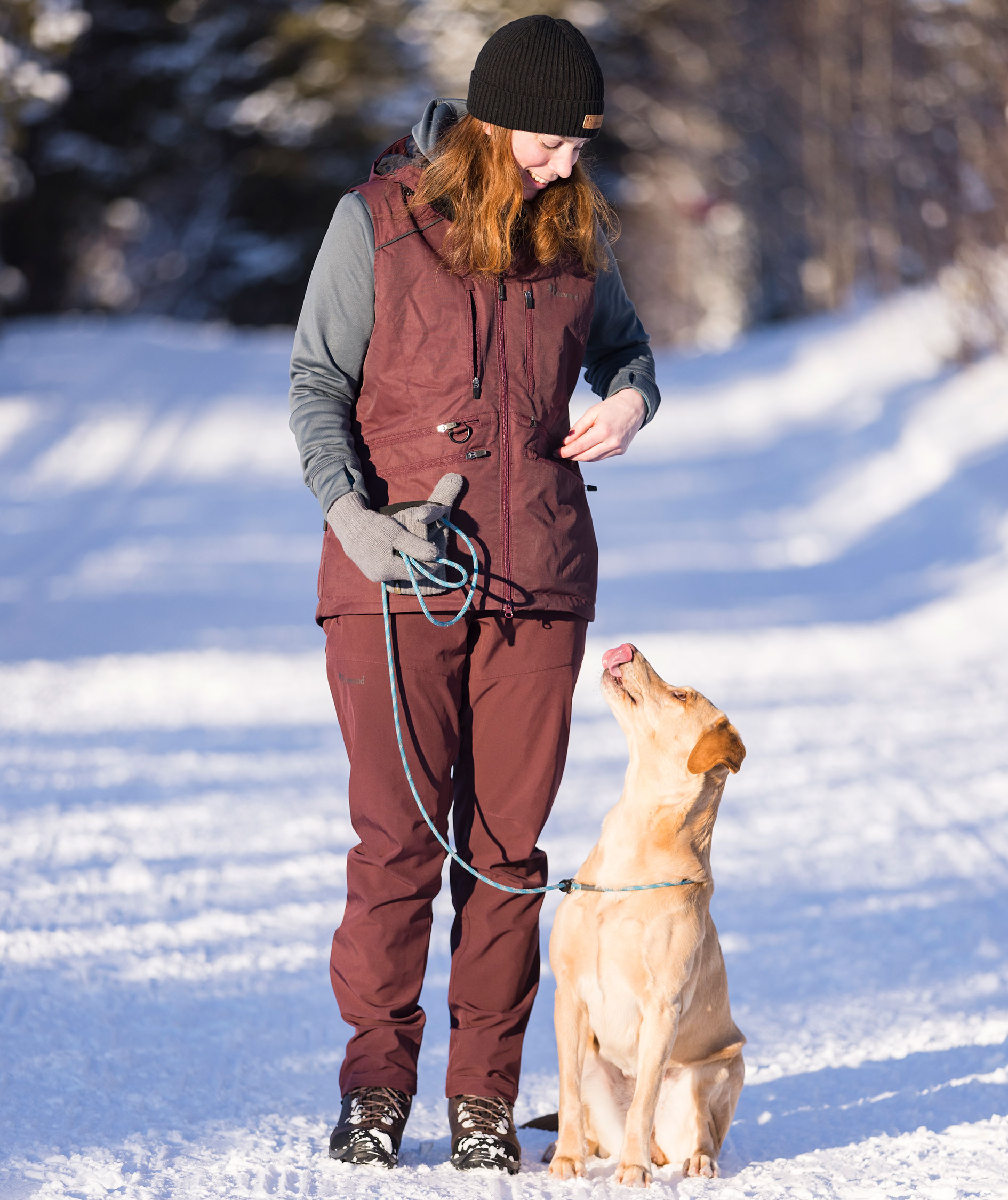 Pinewood Wilda Stretch dame skalbukser, Earth Plum