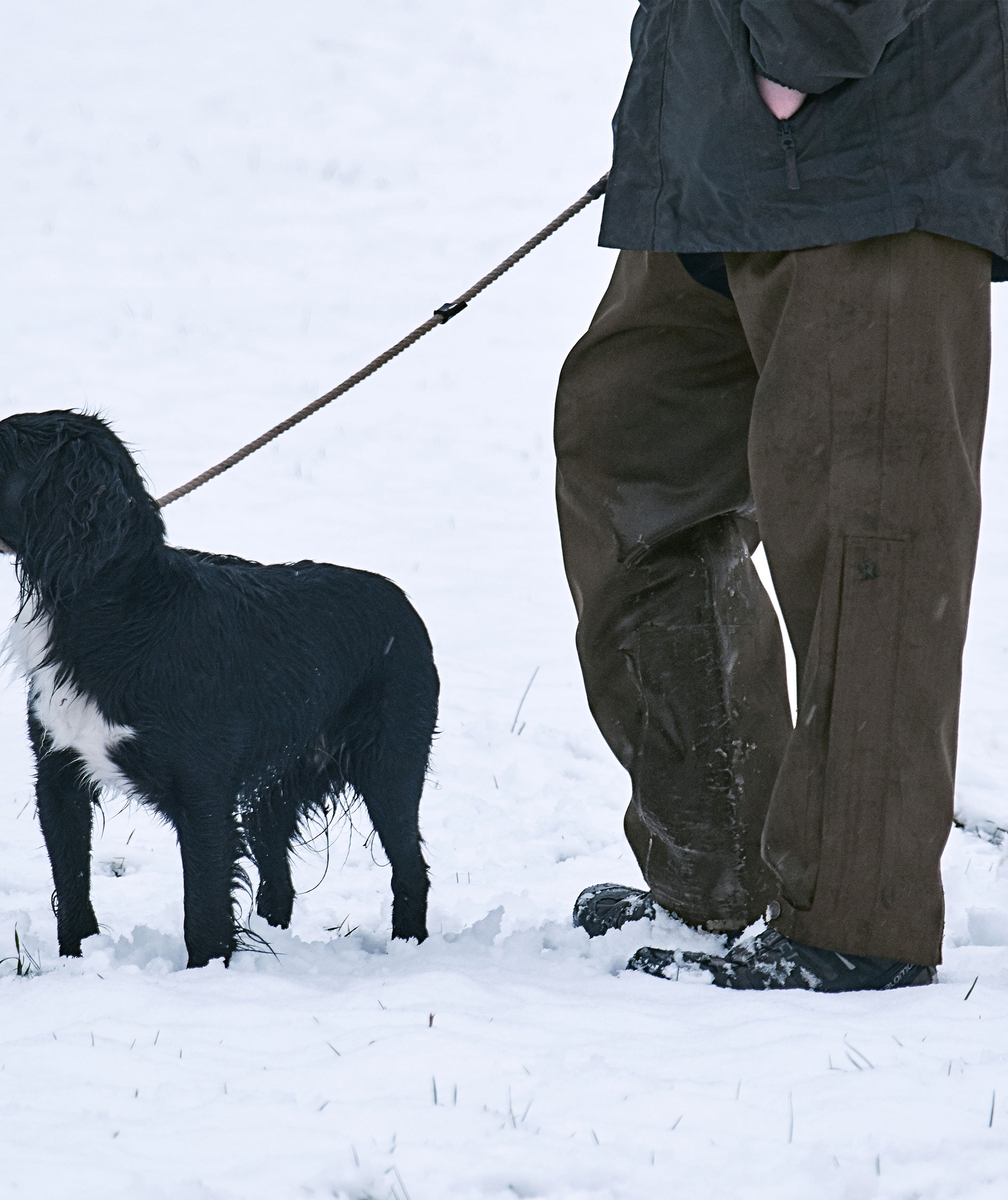 Seeland Buckthorn &Uuml;berziehhose, Shaded olive