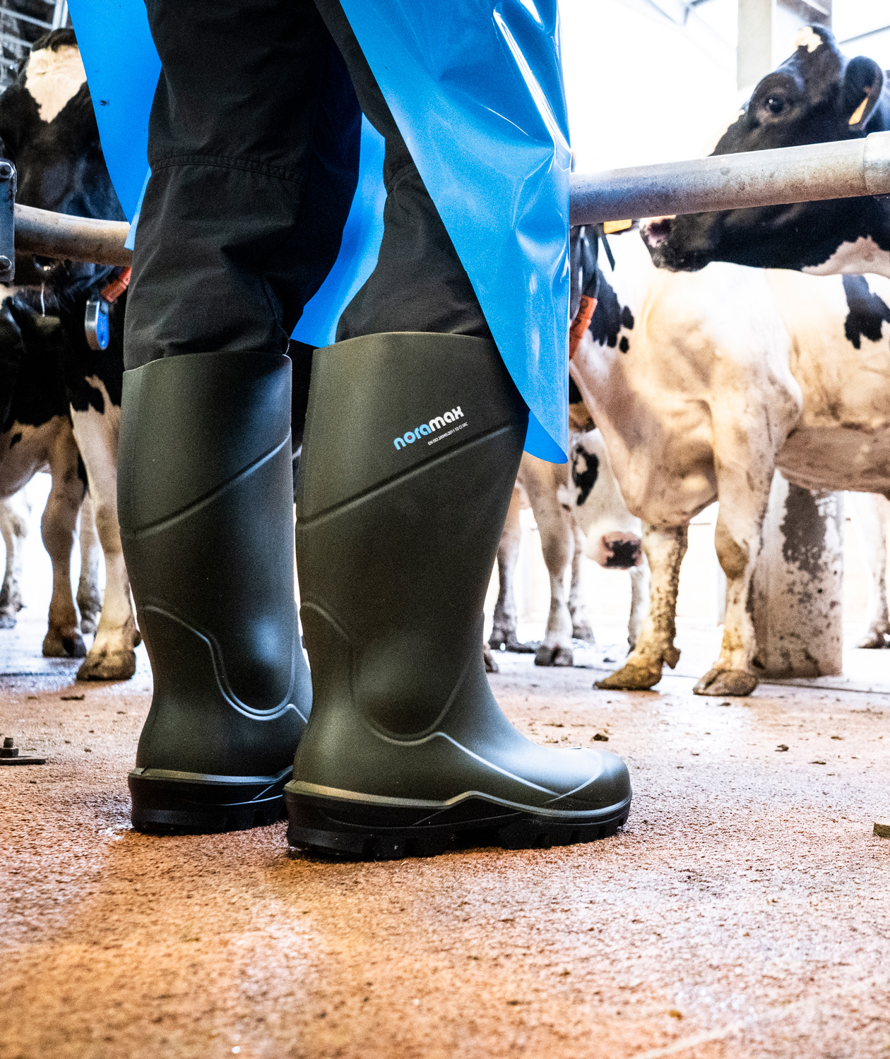 Nora Max Agri Gummistiefel O4, Gr&uuml;n, large image number 2