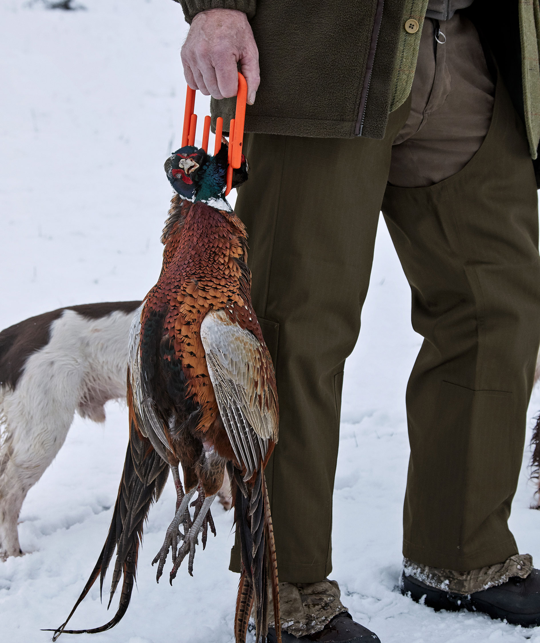 Seeland Buckthorn treggings, Shaded olive, large image number 3
