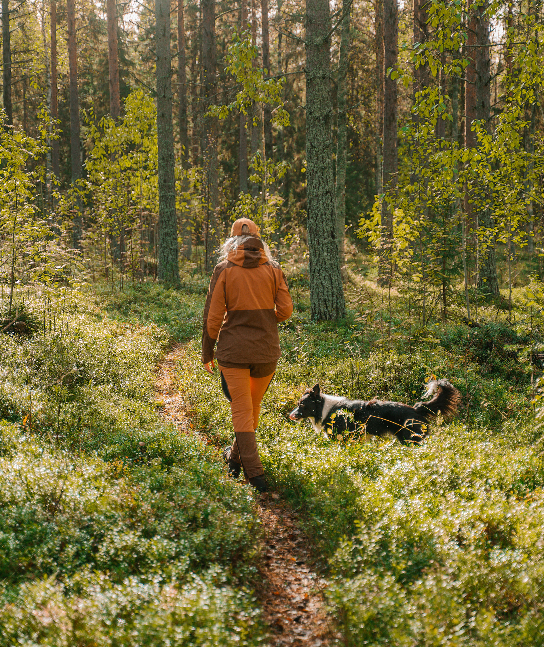 Pinewood Finnveden Hybrid damebukser, Fudge/Nougat, large image number 1