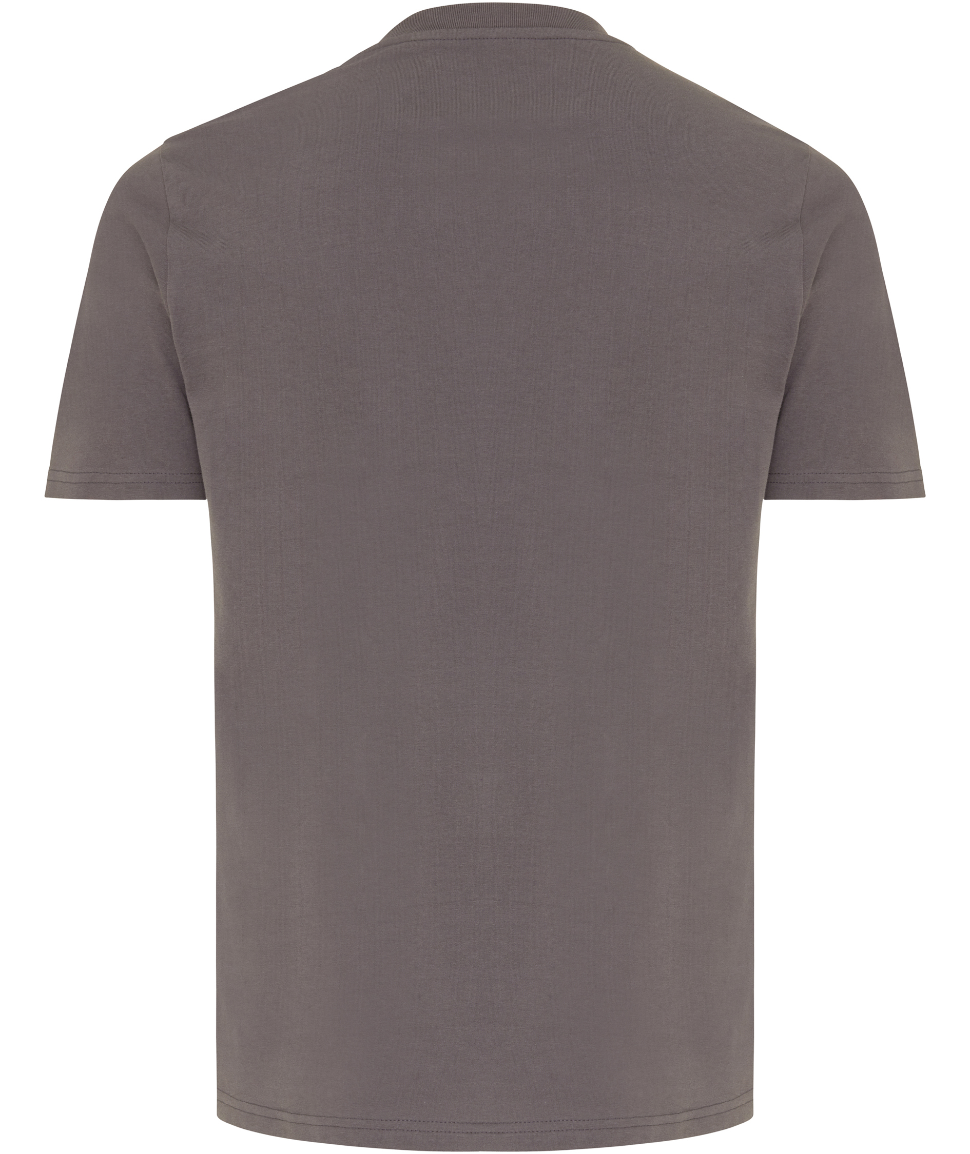 Iqoniq Brett T-Shirt, Steinkohle, large image number 2