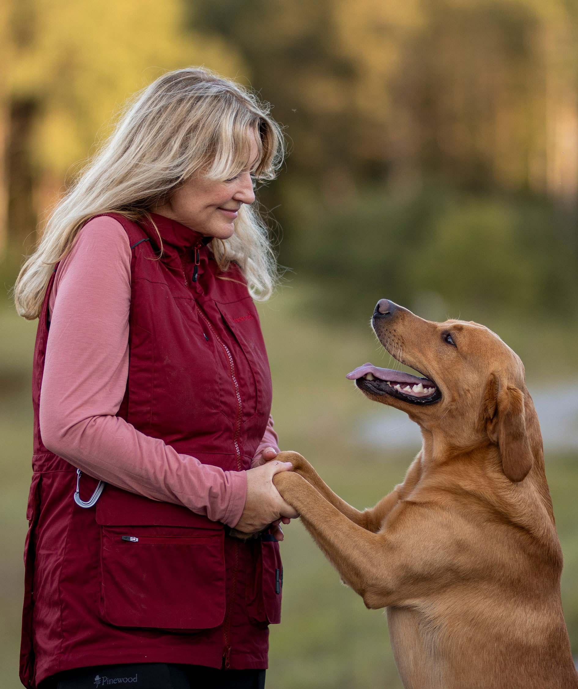 Pinewood Dog Sports Trainer damevest, Dark Tomato/Dark Red, large image number 3