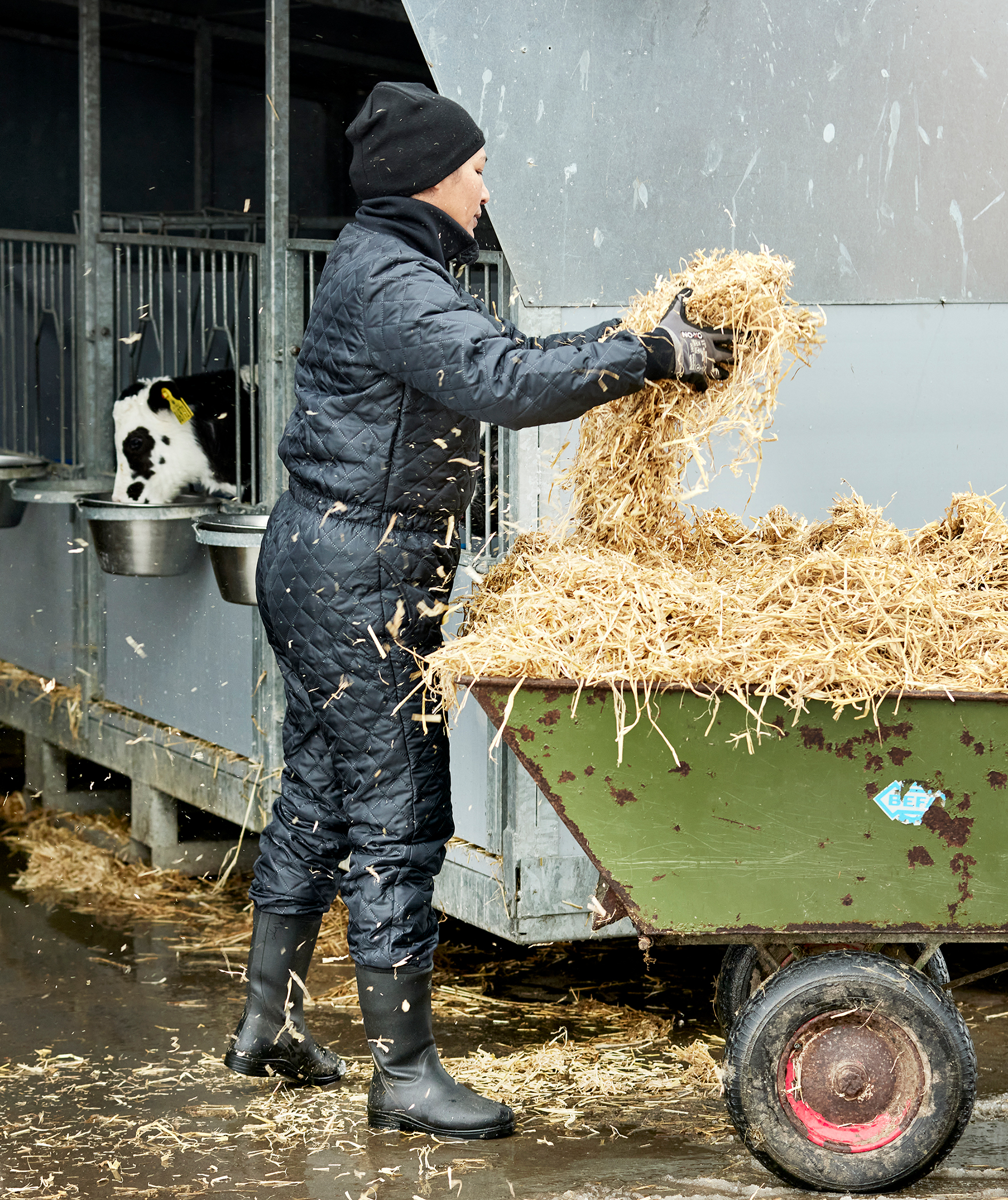 ELKA dame termodragt, Sort, large image number 2