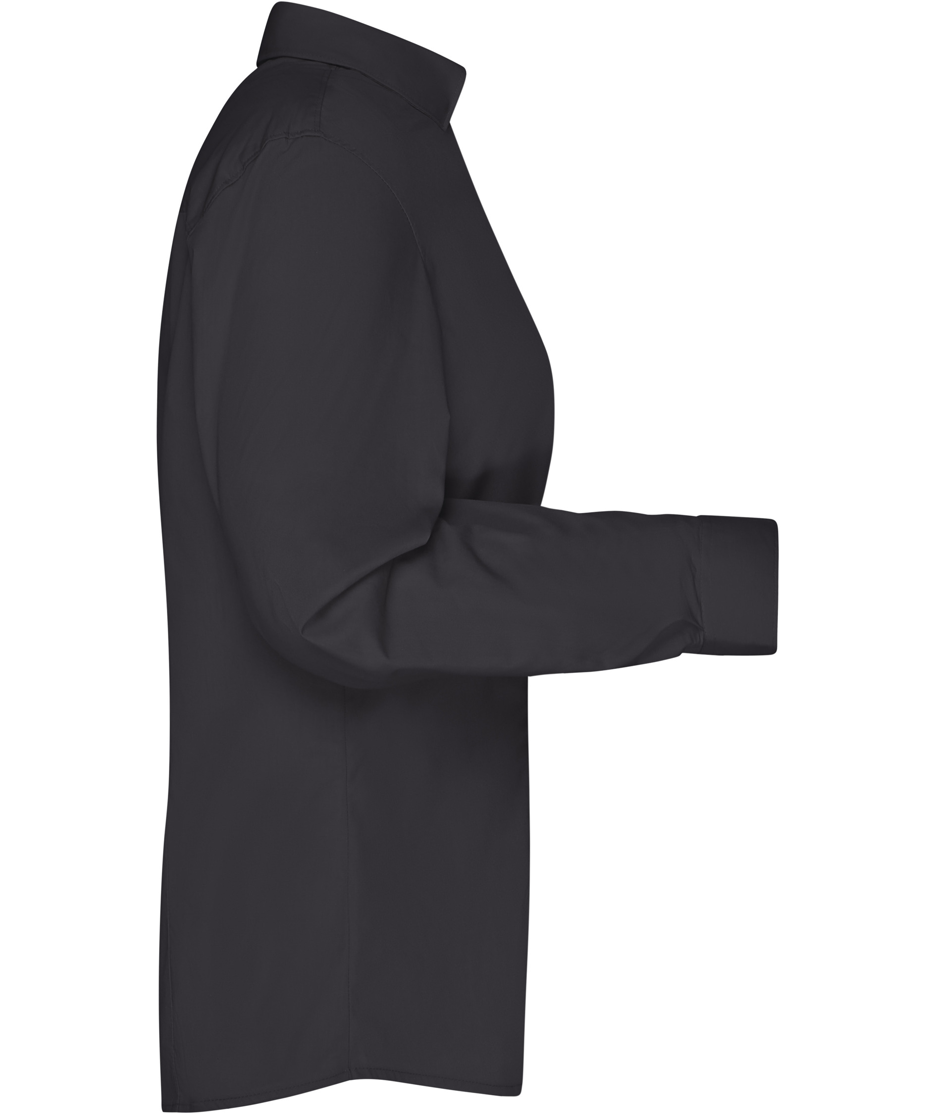 James & Nicholson modern fit skjorta dam, Svart, large image number 2